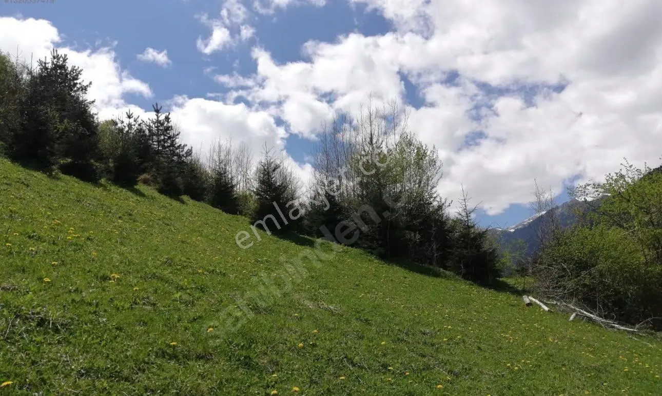 Maçka Dikkaya'da Doğa Manzaralı 4828 M² Satılık Arsa — fotoğraf 6