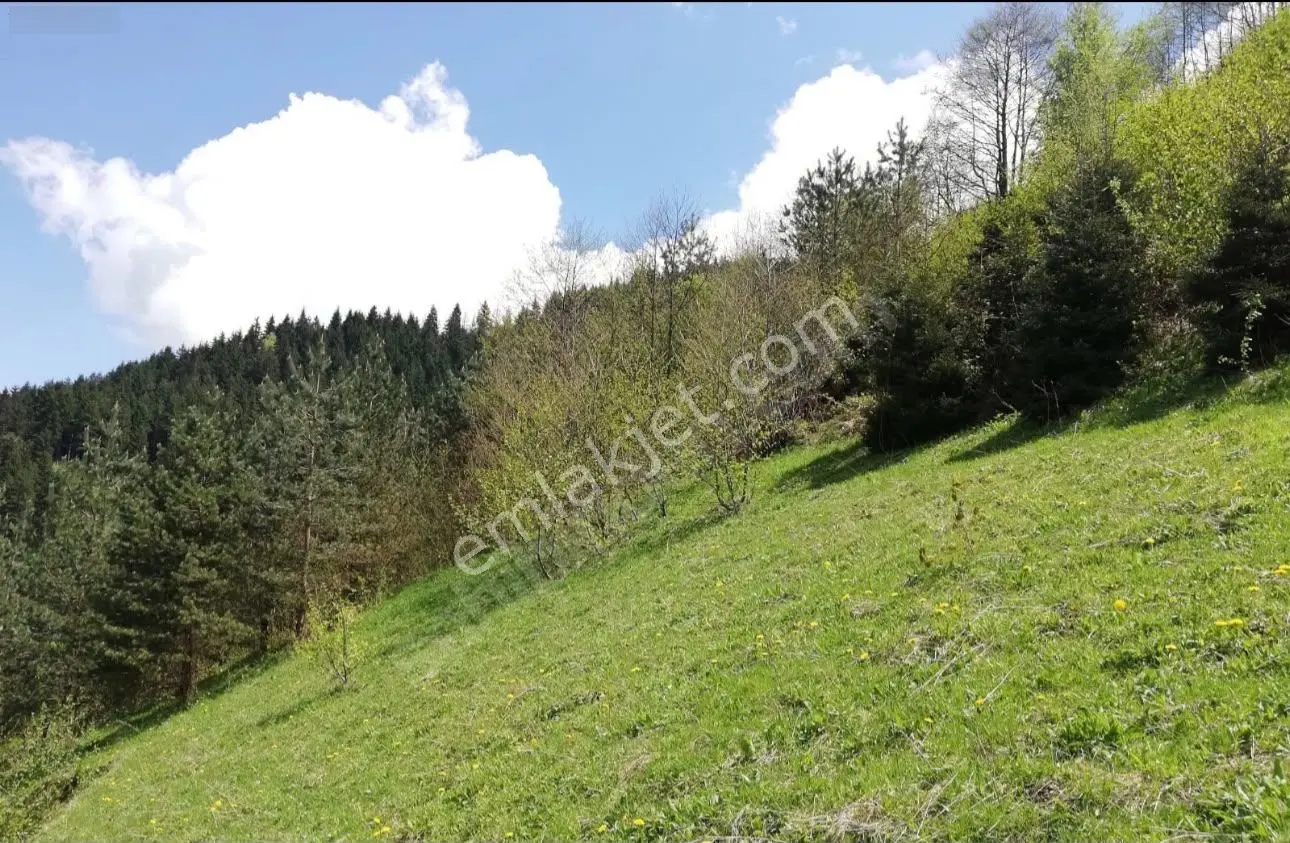 Maçka Dikkaya'da Doğa Manzaralı 4828 M² Satılık Arsa — fotoğraf 7