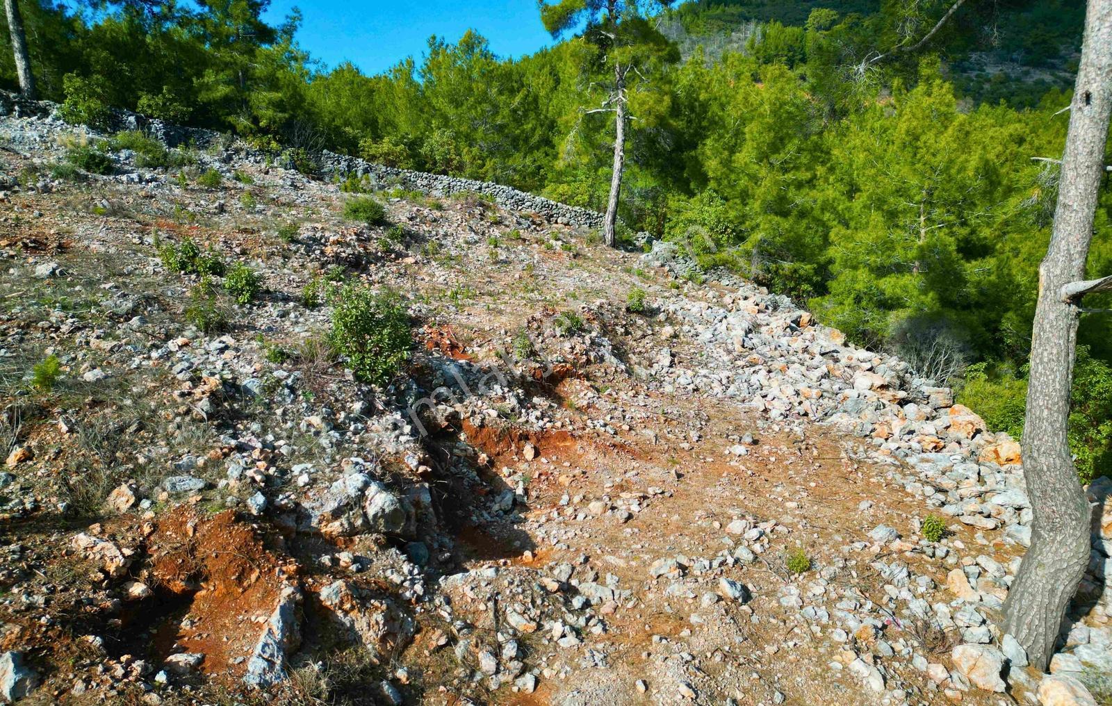 Satılık 2540 M² Tarla Deniz Manzaralı, Orhan Mah. — fotoğraf 10