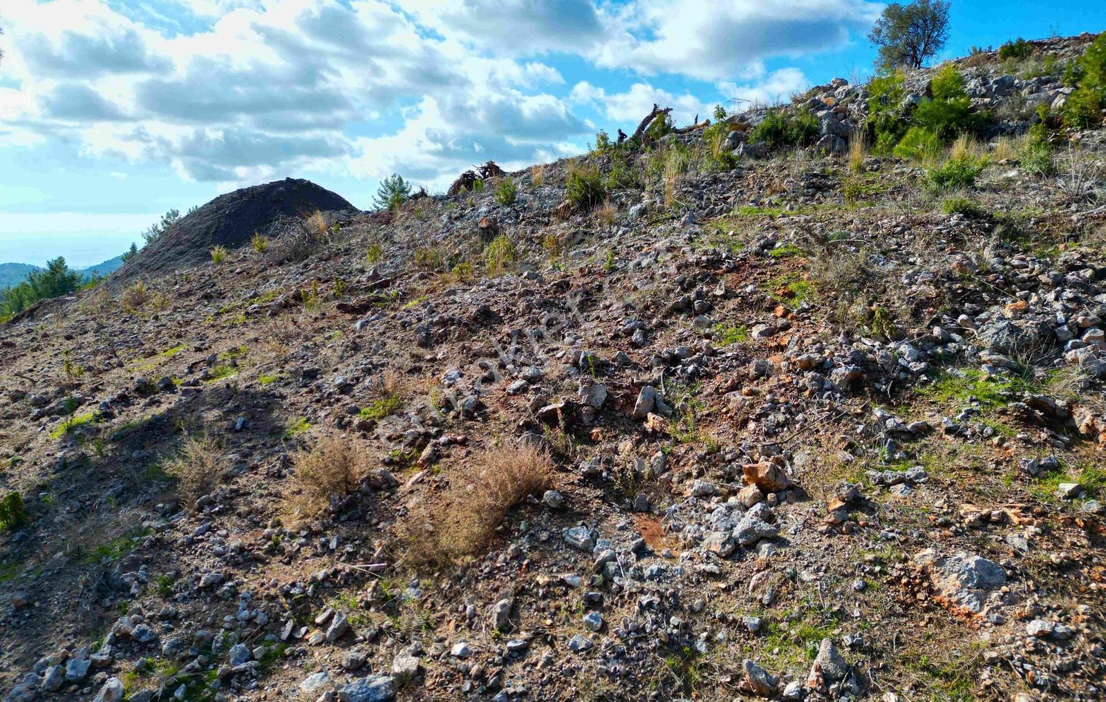 Satılık 2540 M² Tarla Deniz Manzaralı, Orhan Mah. — fotoğraf 11