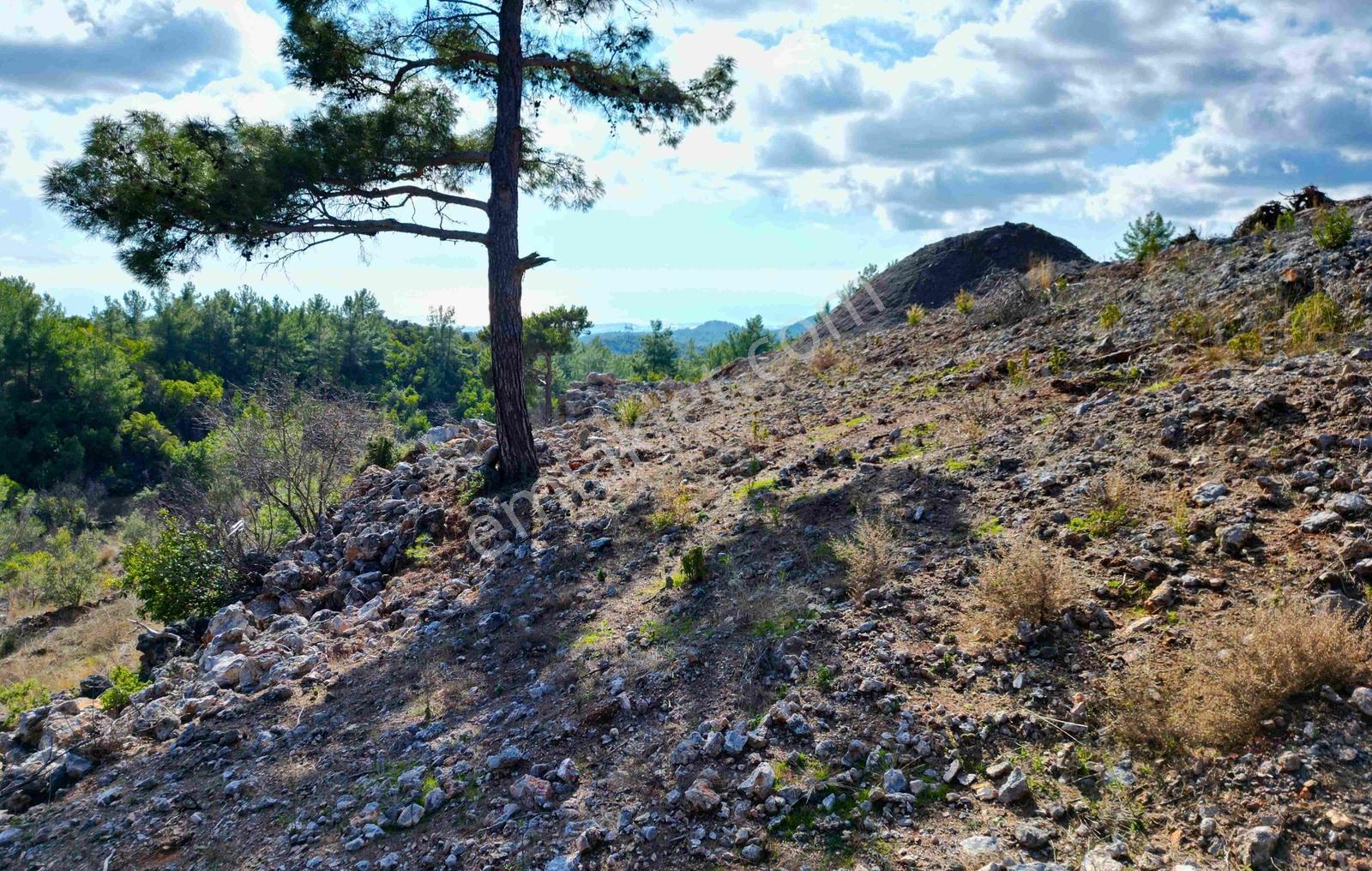 Satılık 2540 M² Tarla Deniz Manzaralı, Orhan Mah. — fotoğraf 12