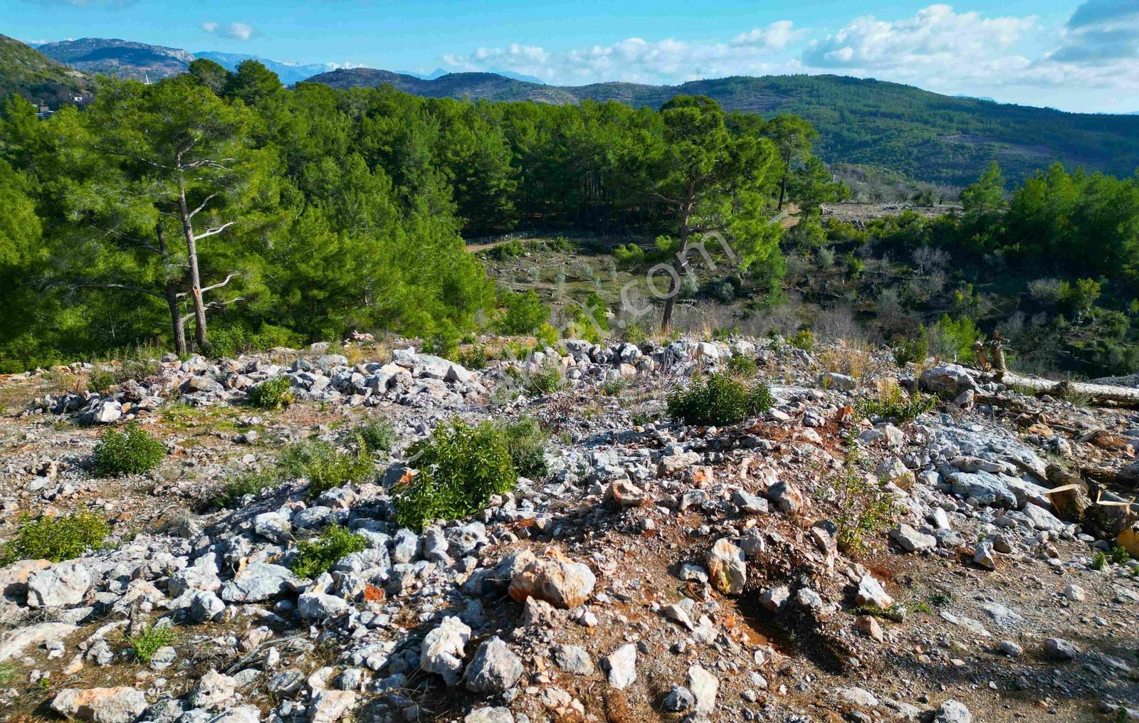 Satılık 2540 M² Tarla Deniz Manzaralı, Orhan Mah. — fotoğraf 14