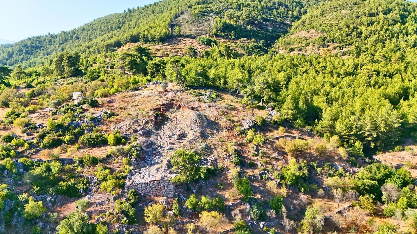 Satılık 2540 M² Tarla Deniz Manzaralı, Orhan Mah. — fotoğraf 18