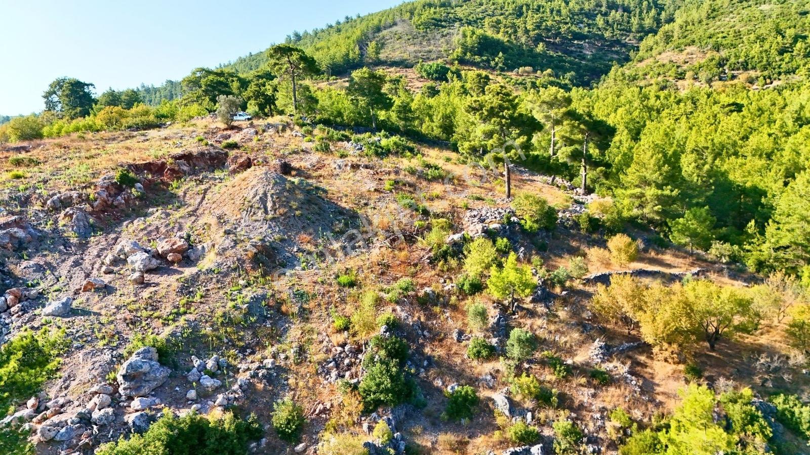 Satılık 2540 M² Tarla Deniz Manzaralı, Orhan Mah. — fotoğraf 19