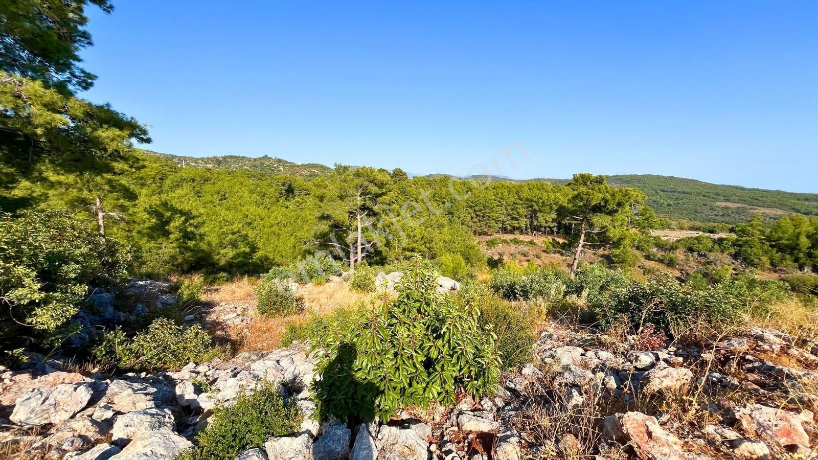 Satılık 2540 M² Tarla Deniz Manzaralı, Orhan Mah. — fotoğraf 21
