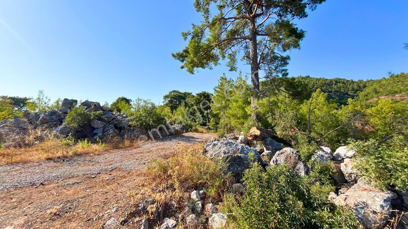 Satılık 2540 M² Tarla Deniz Manzaralı, Orhan Mah. — fotoğraf 24