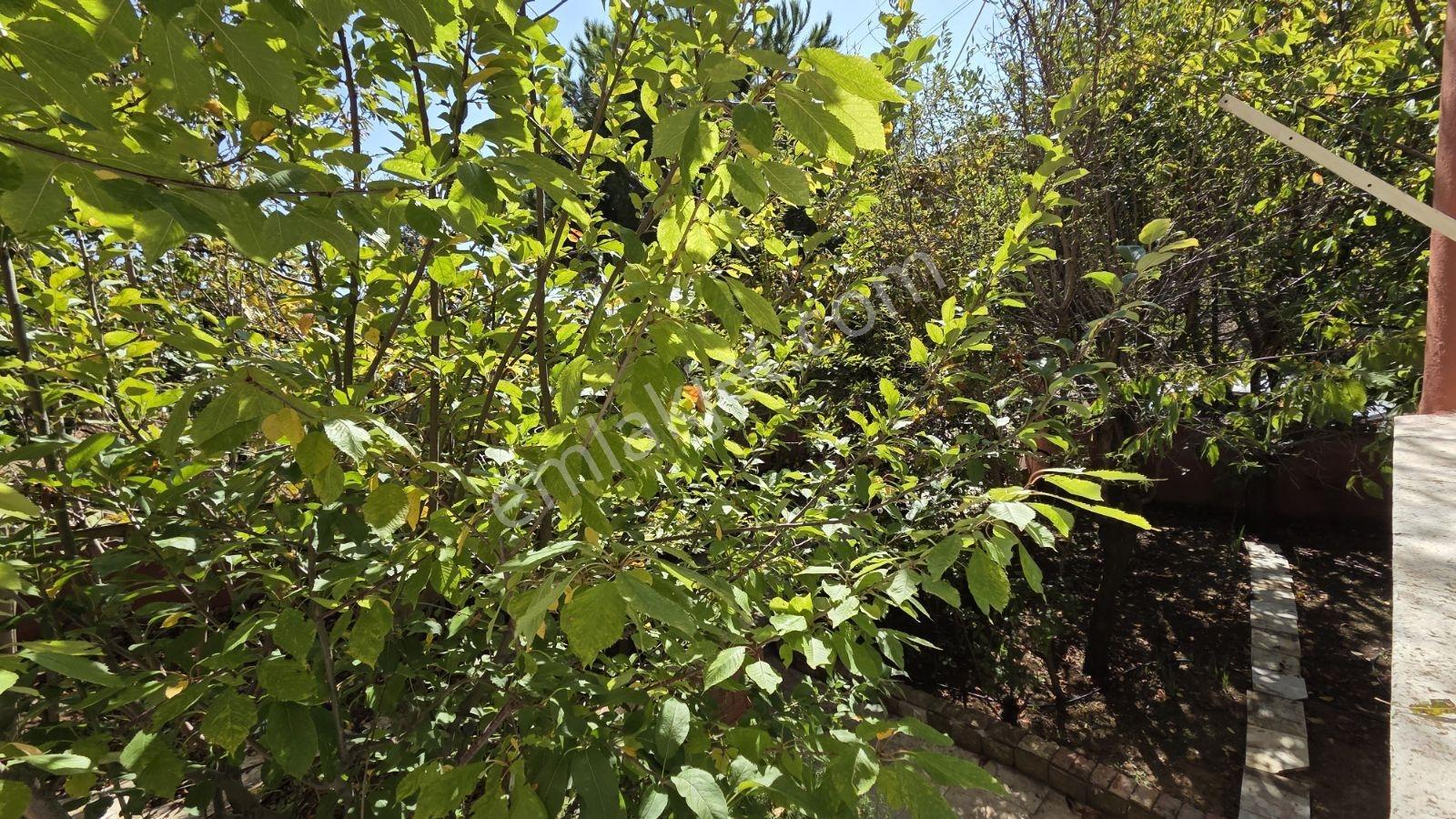 Bekiralanı Yaylasın'da Satılık Full Eşyalı Yayla Evi — fotoğraf 32