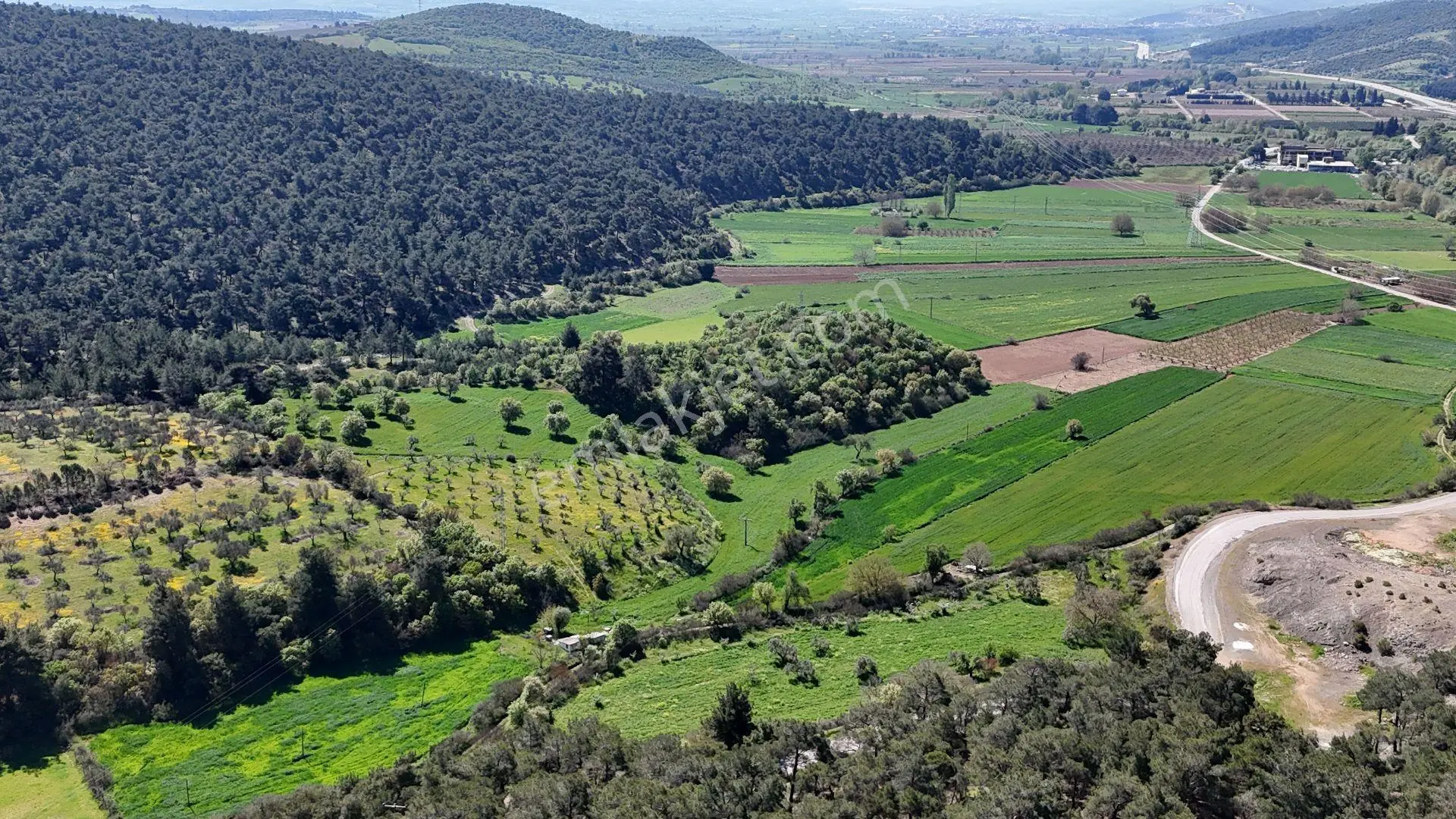 Ezine Köprübaşı Köyü Satılık 8300 M² Doğa Manzaralı Tarla — fotoğraf 8
