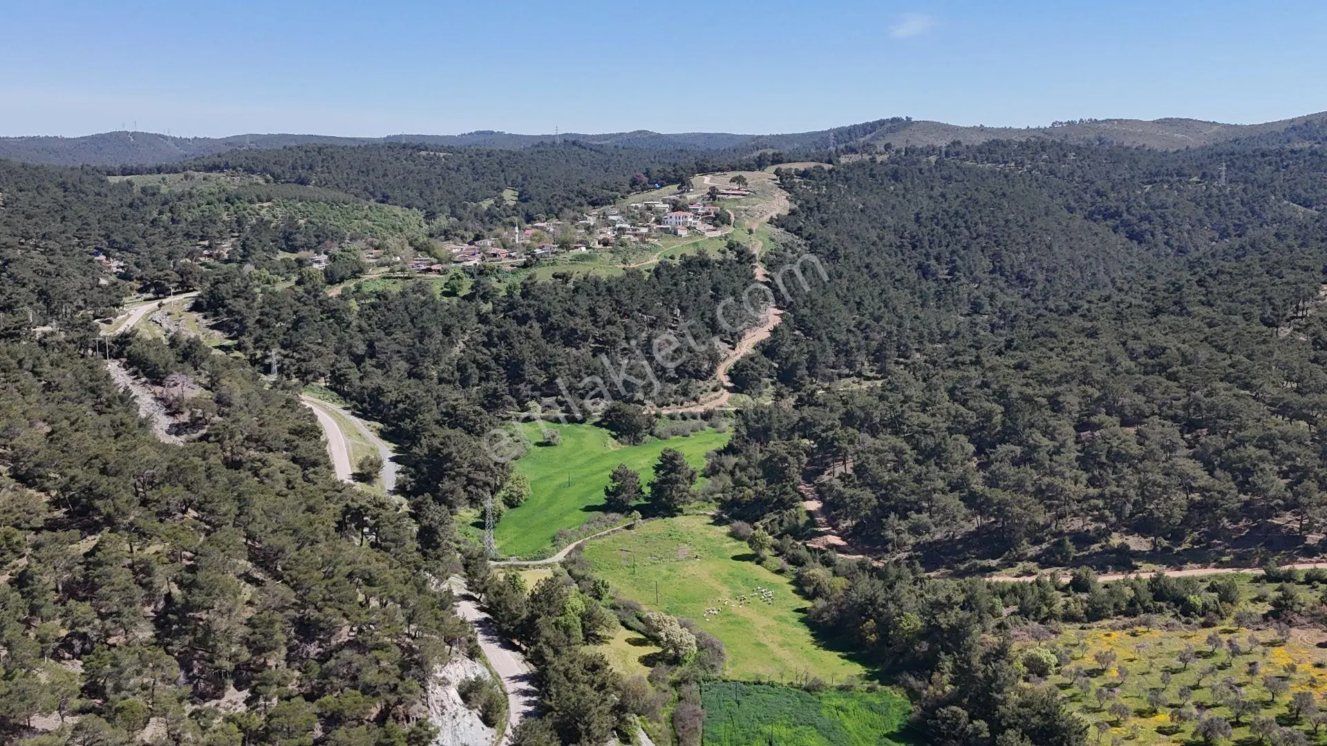 Ezine Köprübaşı Köyü Satılık 8300 M² Doğa Manzaralı Tarla — fotoğraf 10