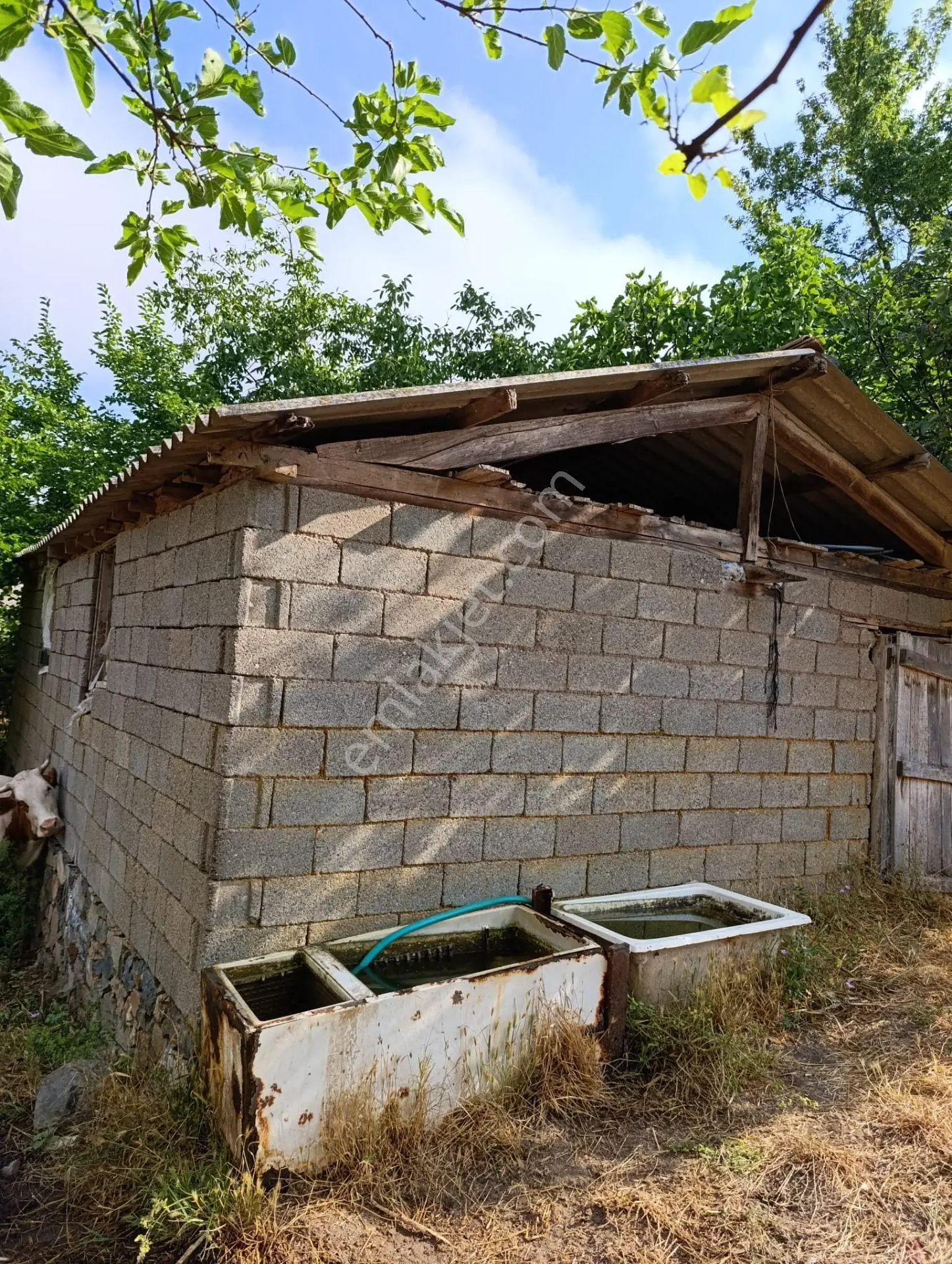 Han Emlak Otomotiv'den Çan Doğaca Köyünde İmarlı 1100 M2 Arsa — fotoğraf 2