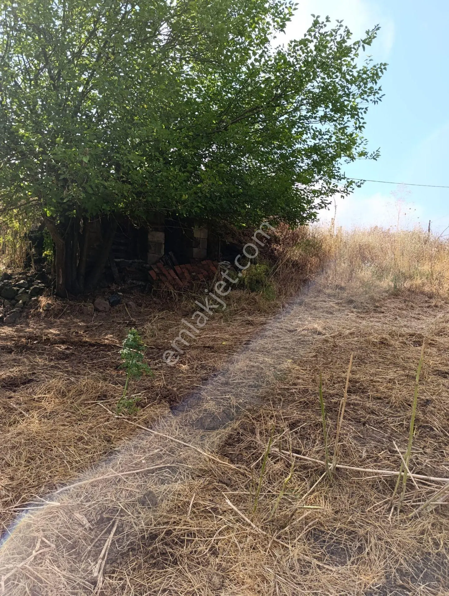 Han Emlak Otomotiv'den Çan Doğaca Köyünde İmarlı 1100 M2 Arsa — fotoğraf 4