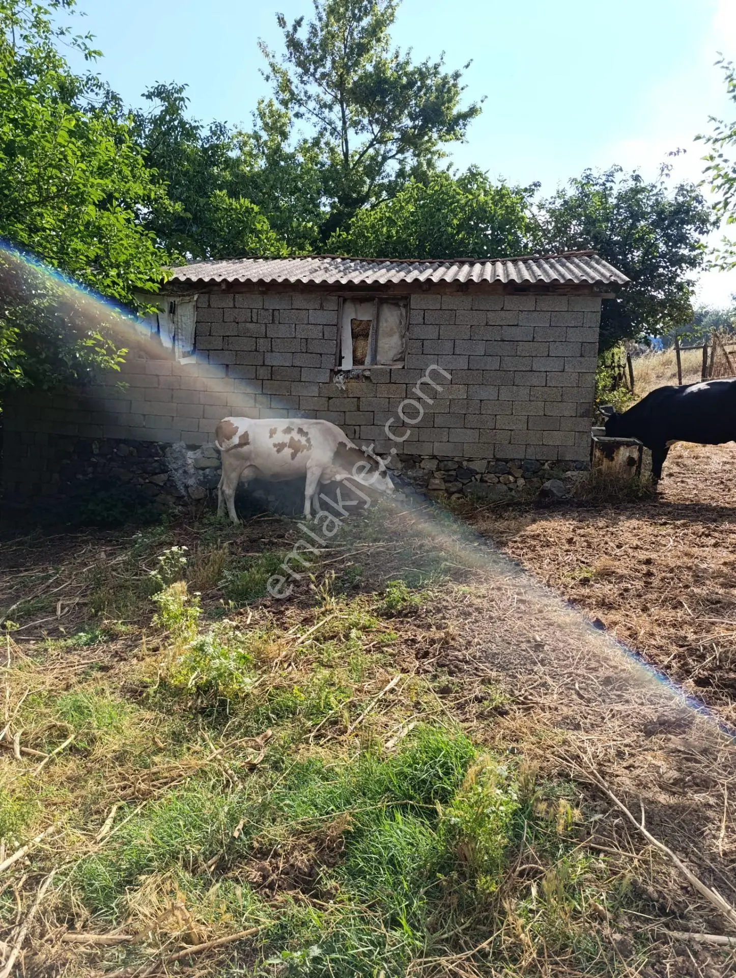 Han Emlak Otomotiv'den Çan Doğaca Köyünde İmarlı 1100 M2 Arsa — fotoğraf 7