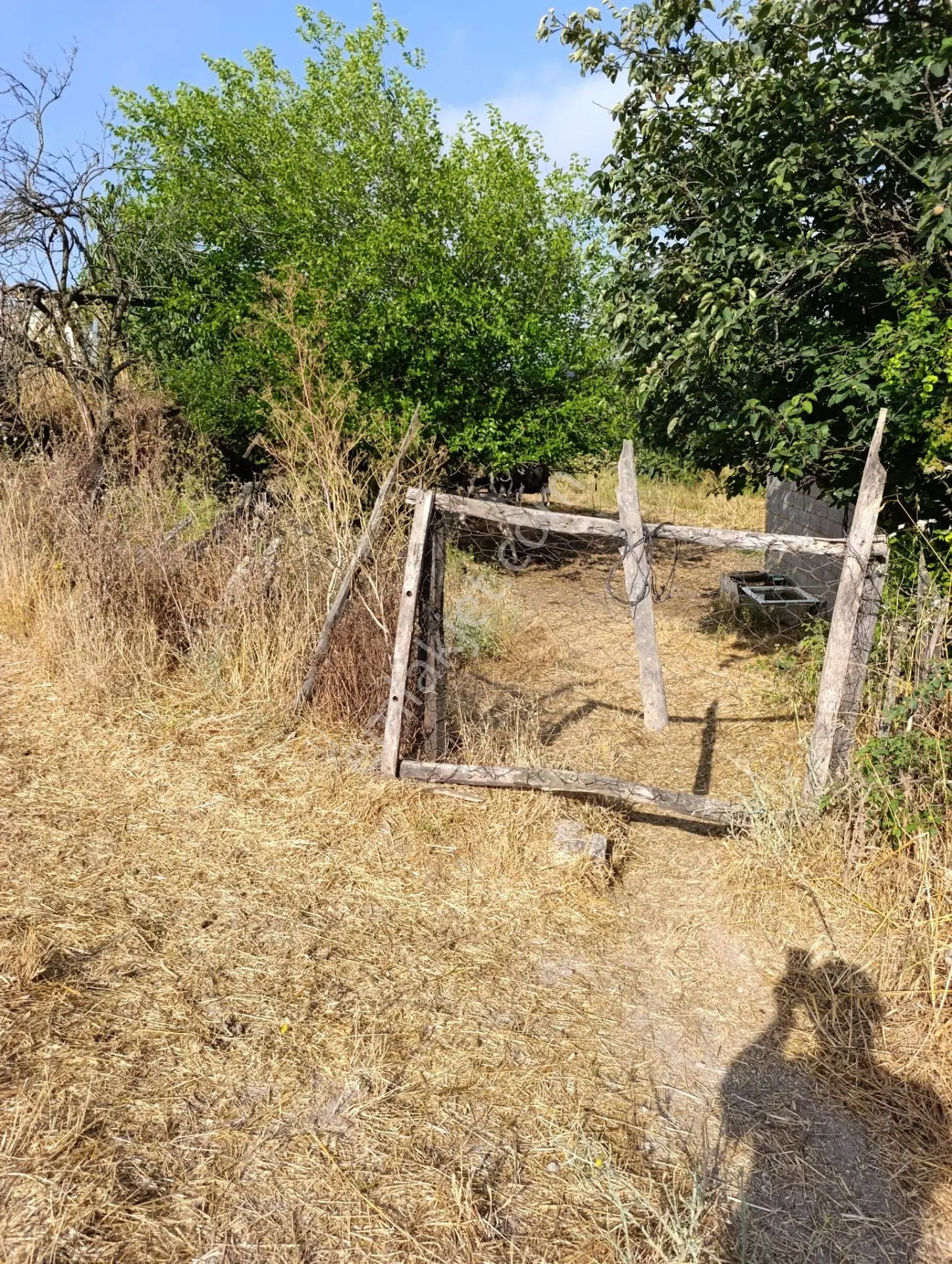 Han Emlak Otomotiv'den Çan Doğaca Köyünde İmarlı 1100 M2 Arsa — fotoğraf 8