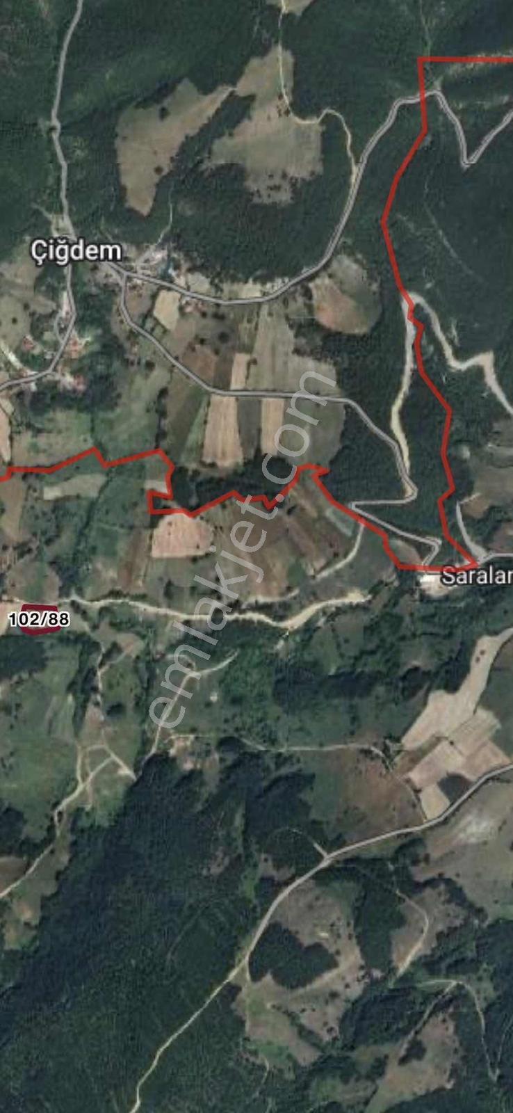 Kavak Sarıalan Mah. 3416,94 M2 Tarlanın 1/2 Hiisesi Satılıktır — fotoğraf 8