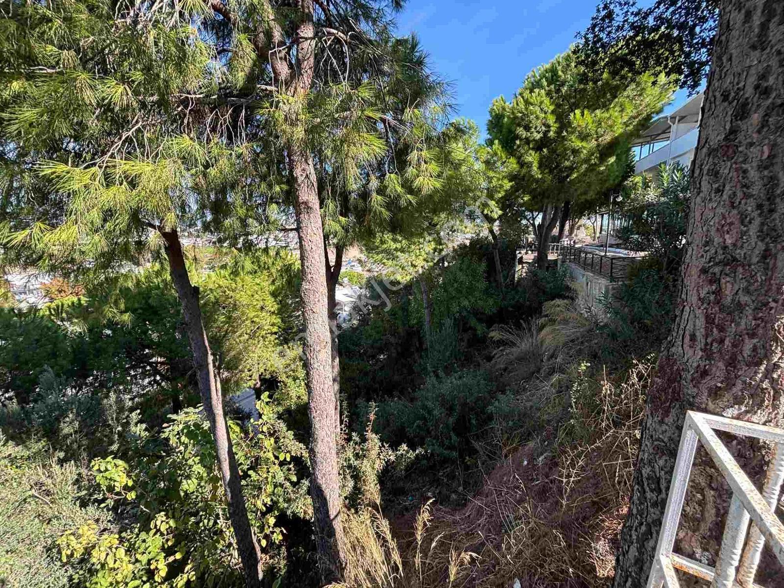 Didim Mavişehirde Güney-batı Cepheli 3 Katlı 3+1 Villa | Balkon — fotoğraf 17
