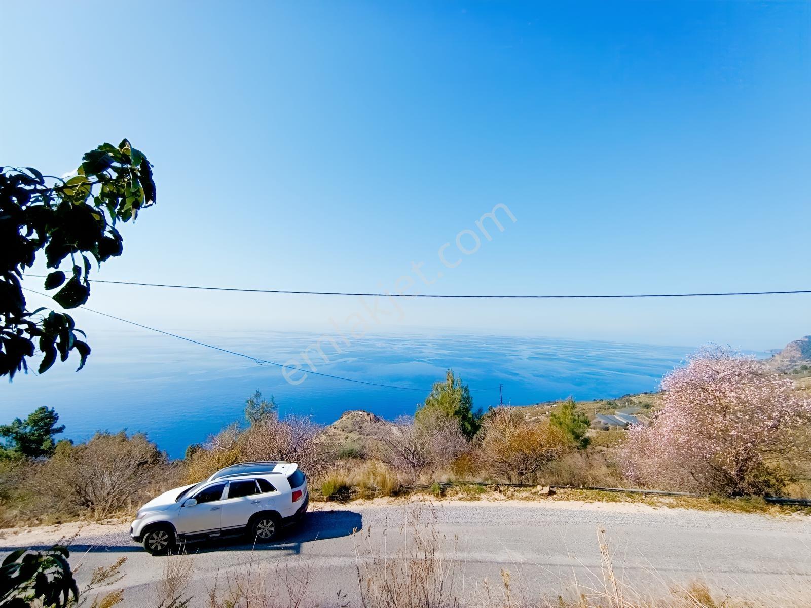 Antalya Gazipaşa Da Satılık Ful Deniz Manzaralı Muz Bahçesi