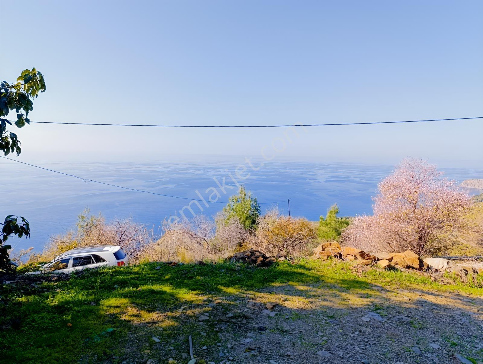 Antalya Gazipaşa Da Satılık Ful Deniz Manzaralı Muz Bahçesi — fotoğraf 27