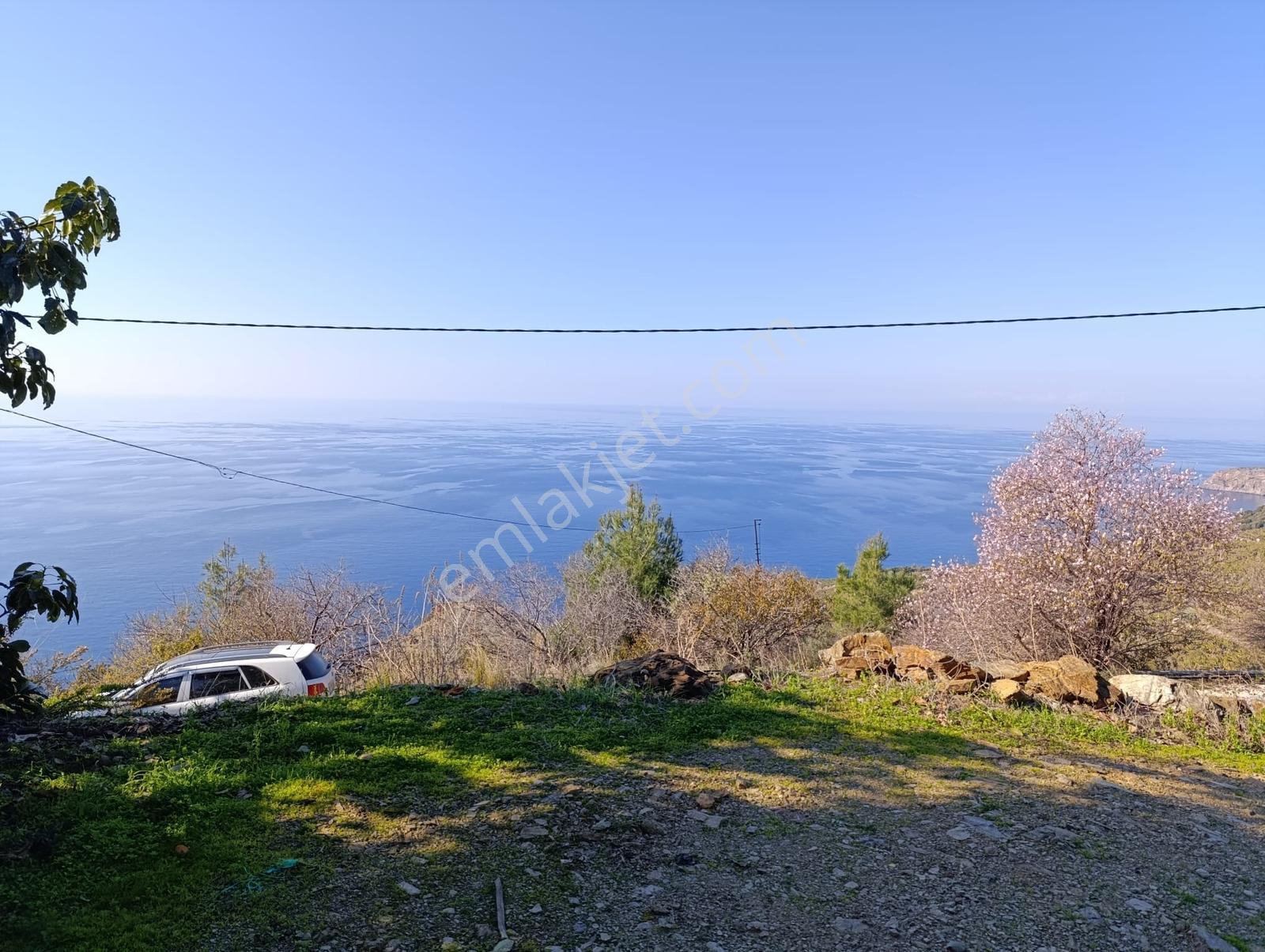 Antalya Gazipaşa Da Satılık Ful Deniz Manzaralı Muz Bahçesi — fotoğraf 29