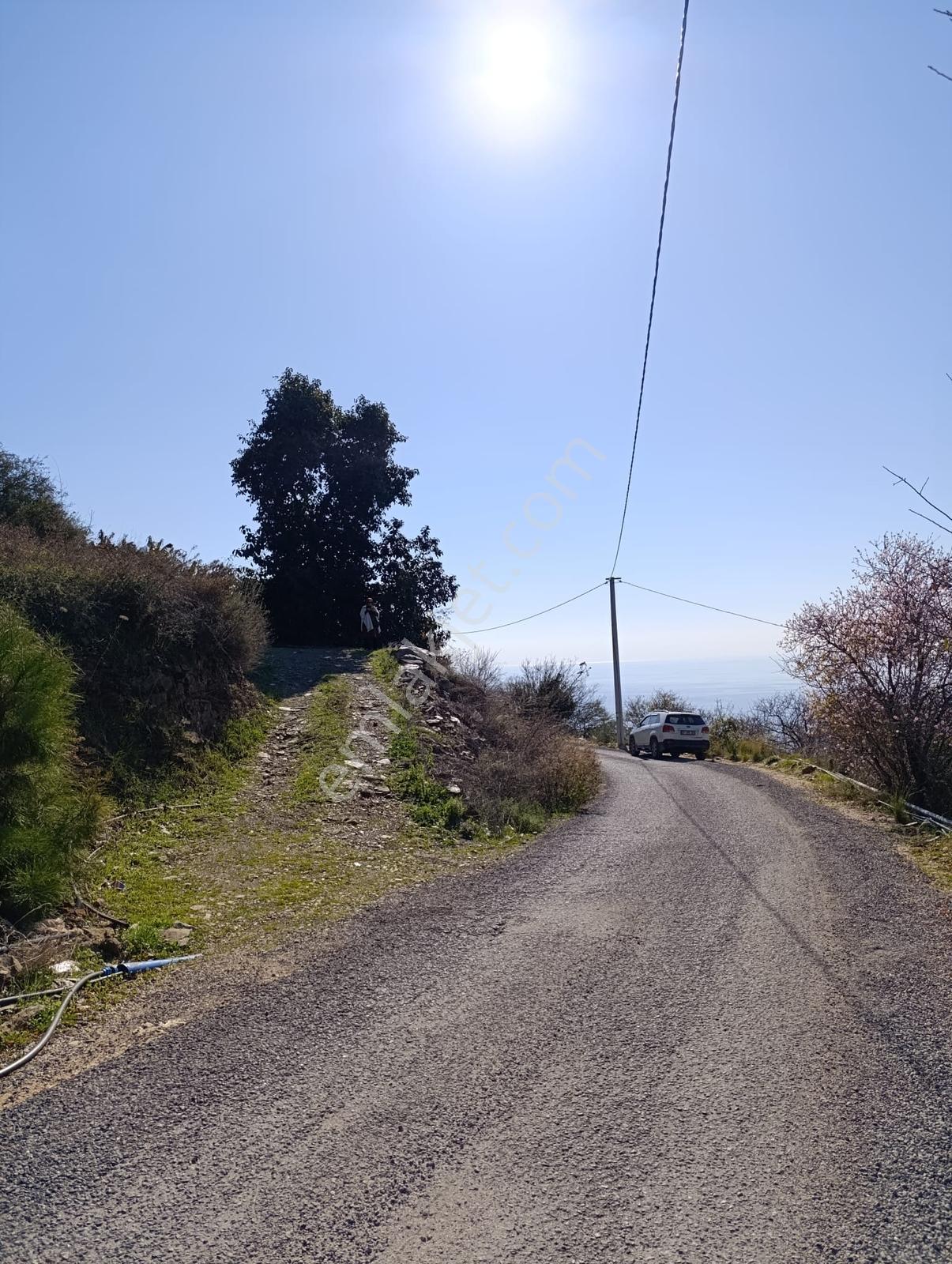 Antalya Gazipaşa Da Satılık Ful Deniz Manzaralı Muz Bahçesi — fotoğraf 30