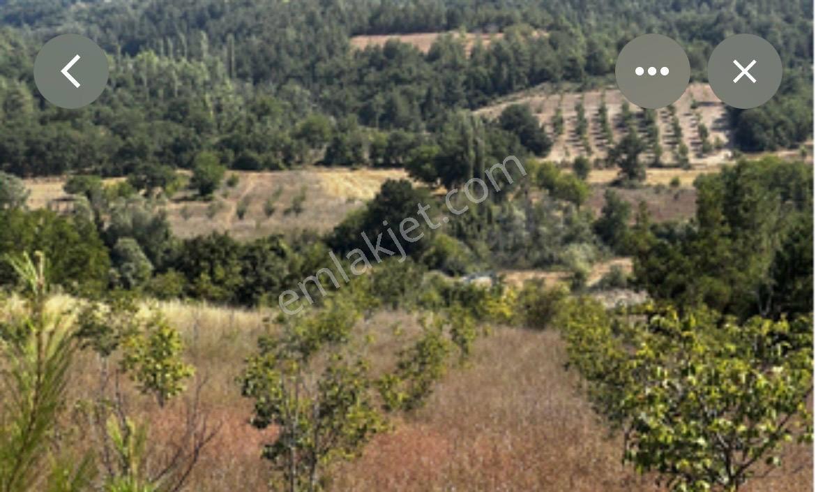 Gül Emlak'tan Gölbaşı Mahmatlı Mevkii 4080mt Satılık Arsa — fotoğraf 10