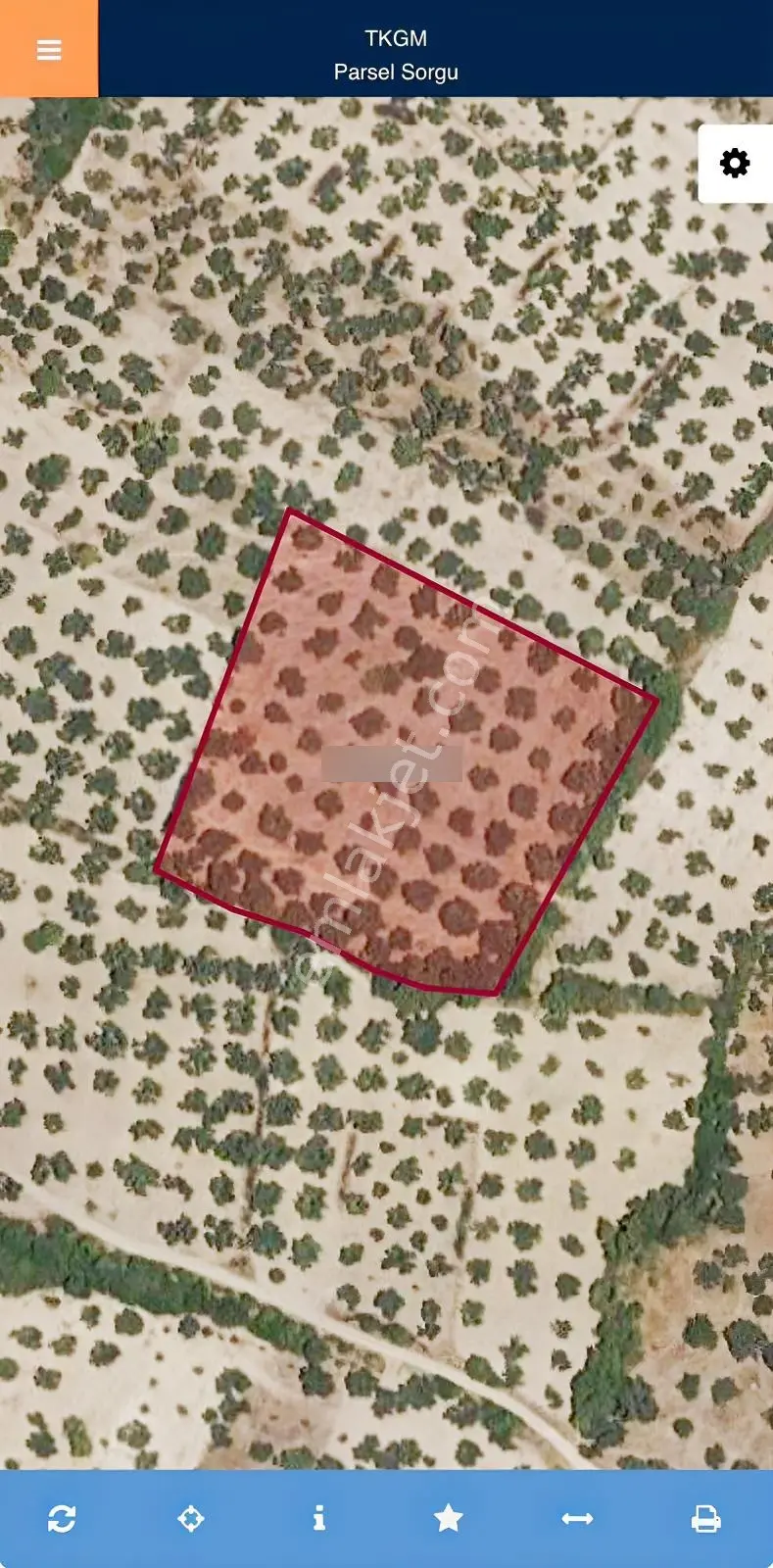 Helvacı'Da Satılık 7.912M2 Zeytinlik