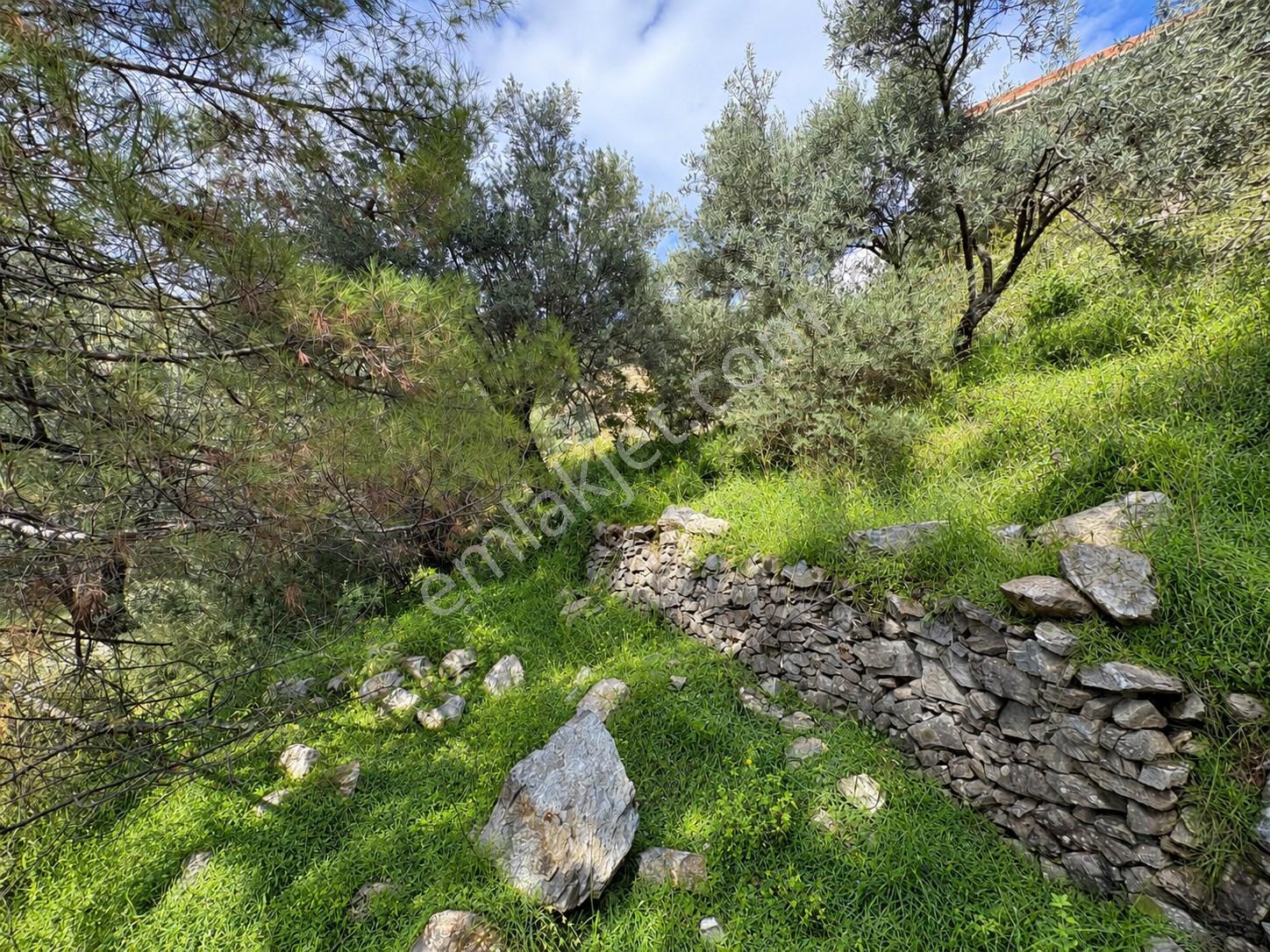 Mera Emlaktan Altınolukta Müstakil Tapulu 2 Villalık 677m2 Arsa — fotoğraf 6