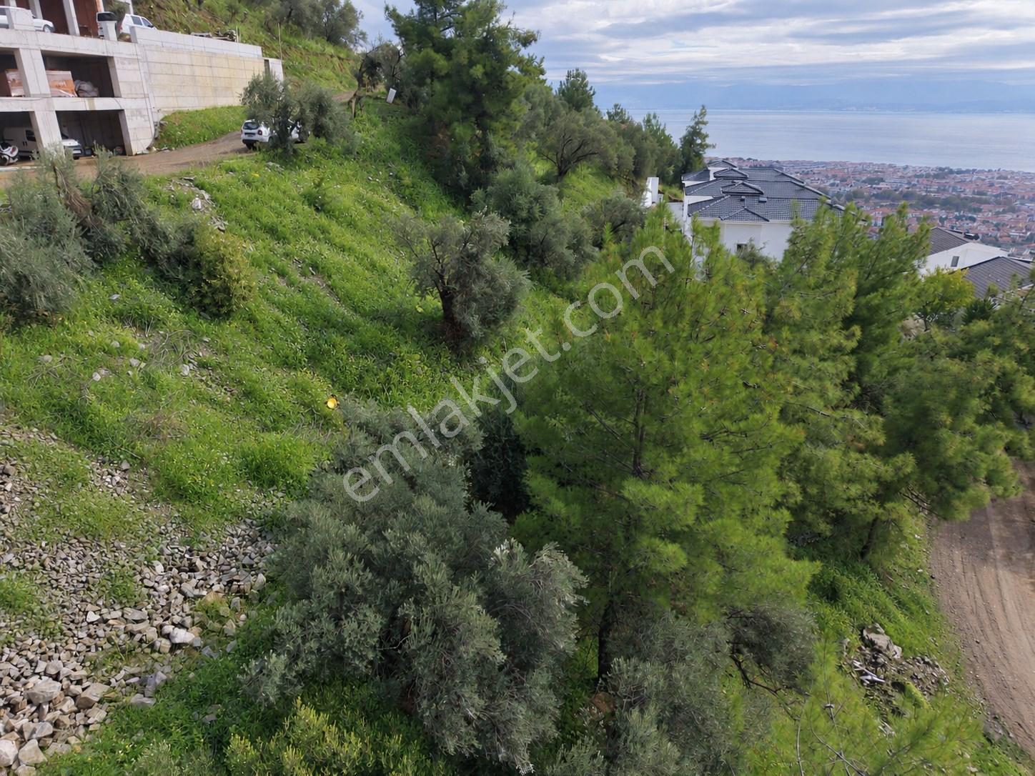 Mera Emlaktan Altınolukta Müstakil Tapulu 2 Villalık 677m2 Arsa — fotoğraf 13