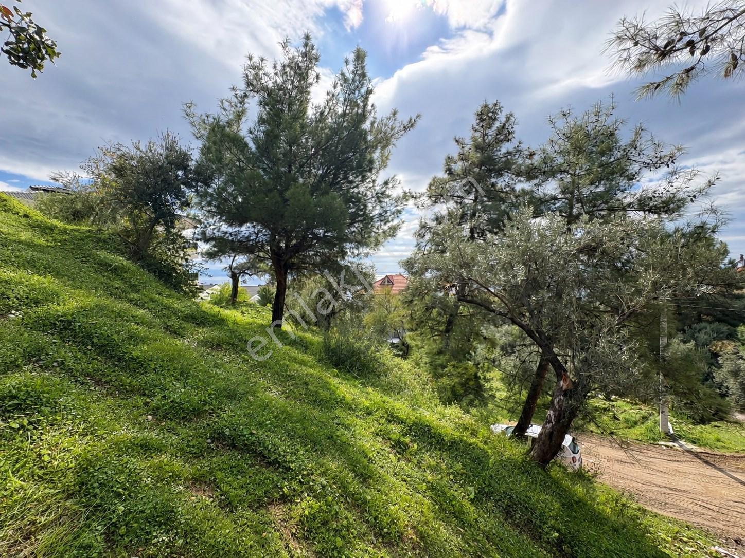 Mera Emlaktan Altınolukta Müstakil Tapulu 2 Villalık 677m2 Arsa — fotoğraf 15