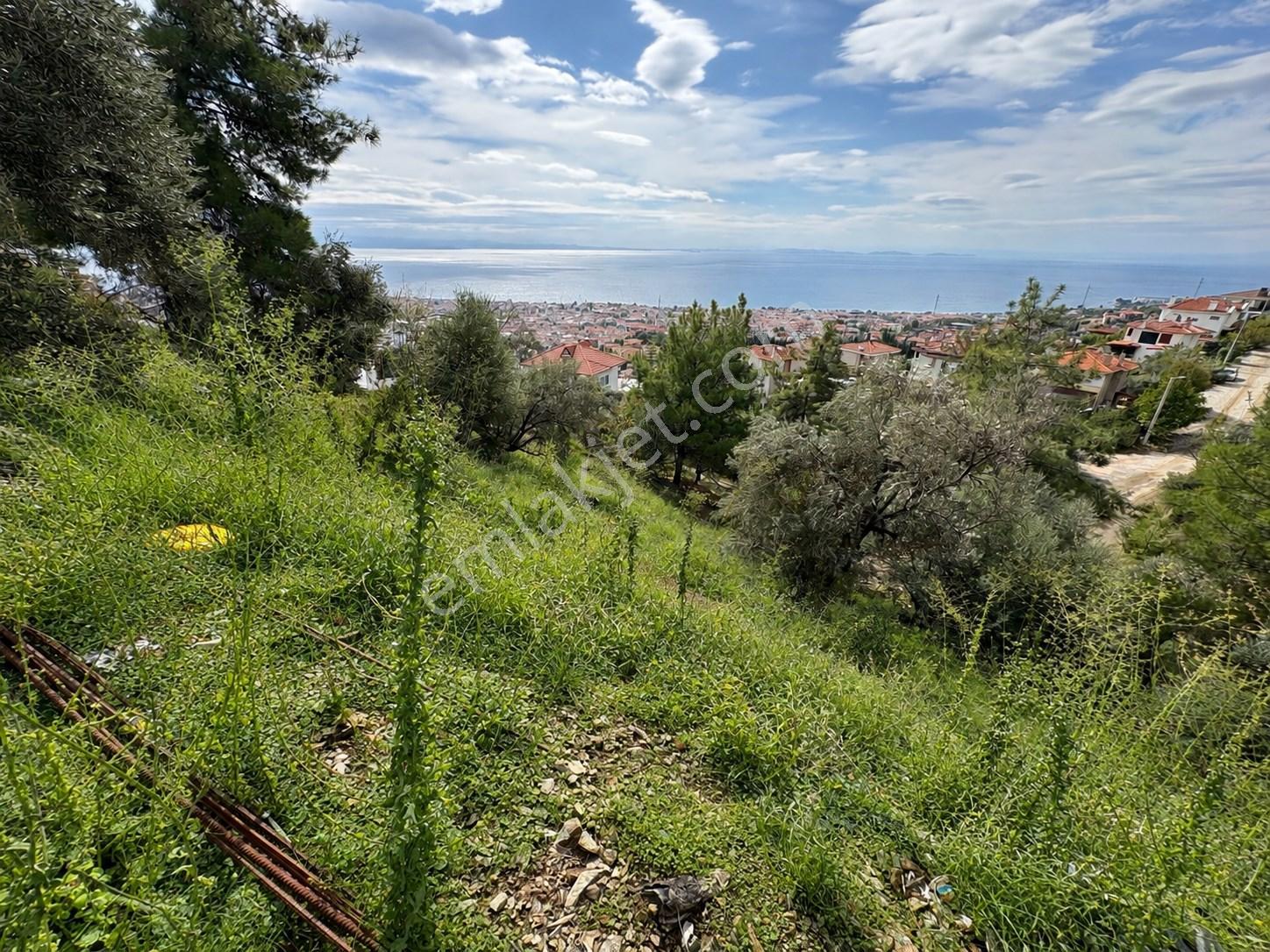 Mera Emlaktan Altınolukta Müstakil Tapulu 2 Villalık 677m2 Arsa — fotoğraf 17