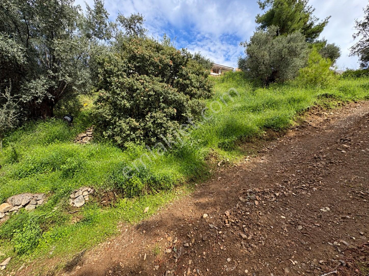 Mera Emlaktan Altınolukta Müstakil Tapulu 2 Villalık 677m2 Arsa — fotoğraf 19