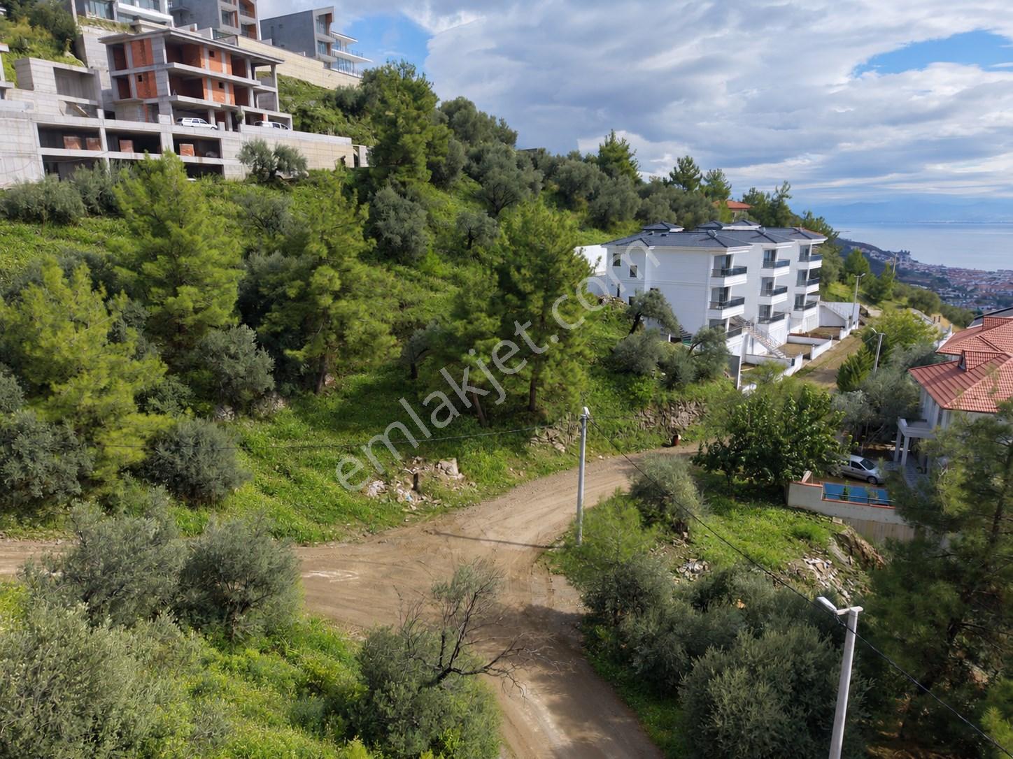 Mera Emlaktan Altınolukta Müstakil Tapulu 2 Villalık 677m2 Arsa — fotoğraf 21