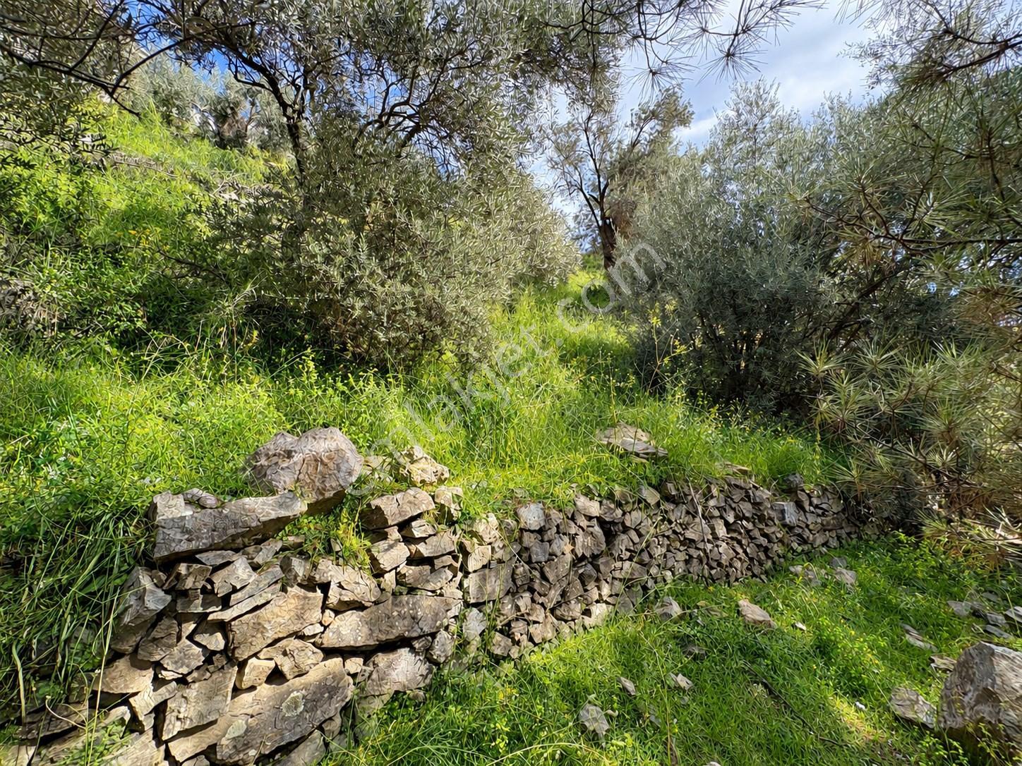Mera Emlaktan Altınolukta Müstakil Tapulu 2 Villalık 677m2 Arsa — fotoğraf 23