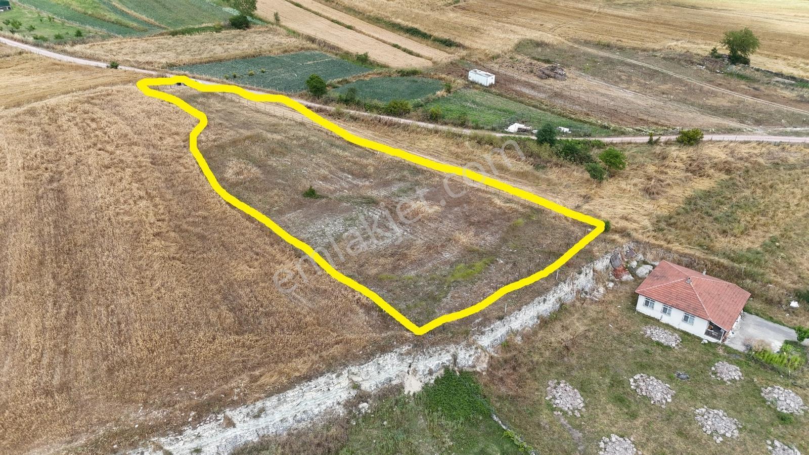 Cb-Marktan Kandıra Duraçali Da Yatırımlık Fırsat Tarla