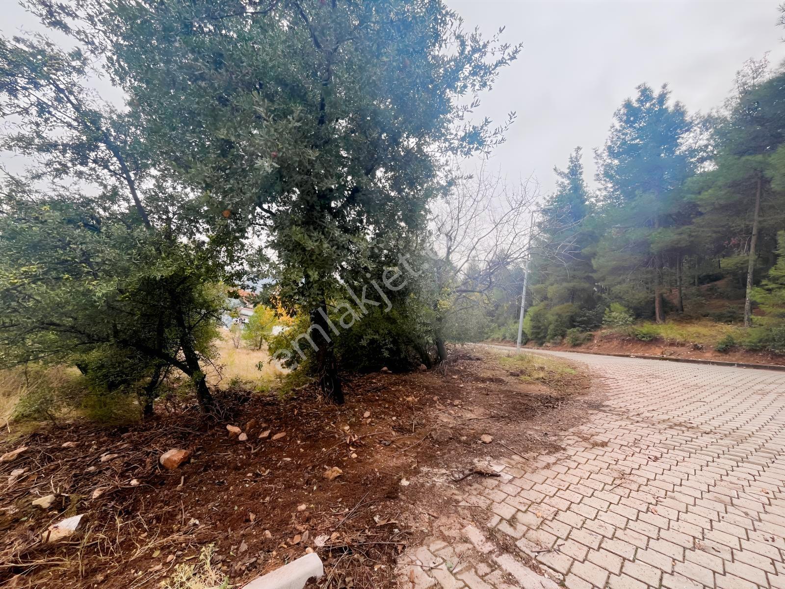 Bağbaşı Yolu Üzerinde Sosyal Tesis İmarlı Satılık Arsa