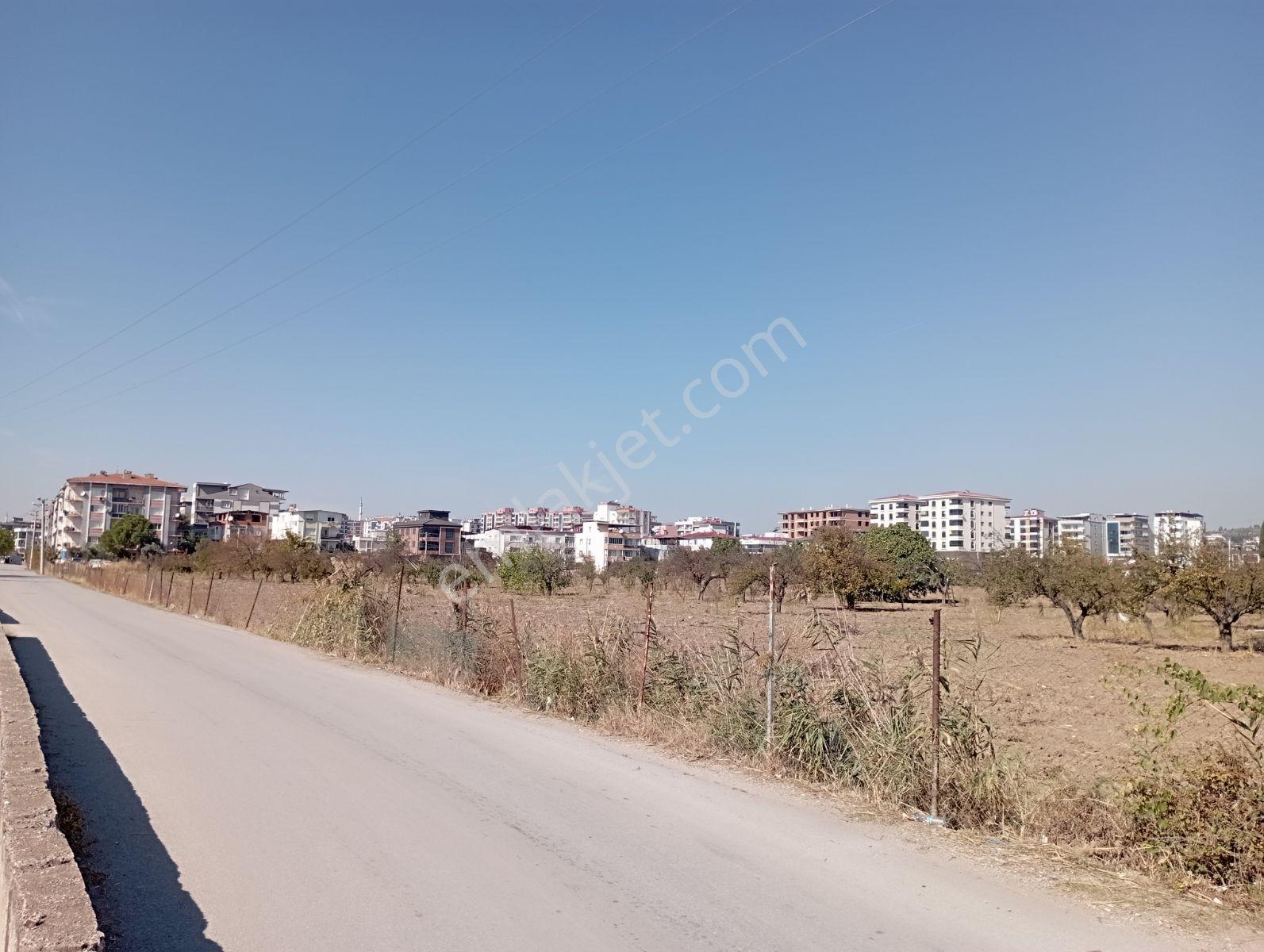 Ayrancılar İnönü Mh.imara Sınırı Olan Satılık Tek Tapu Tarla — fotoğraf 3