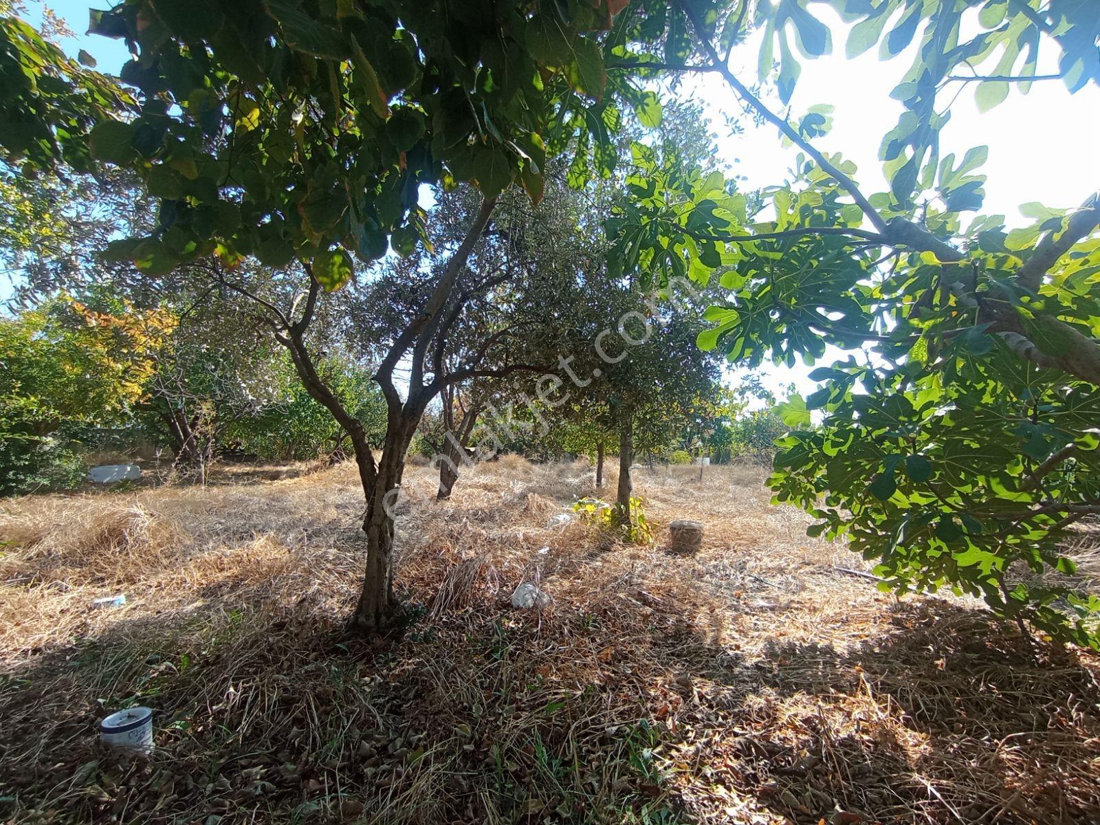 Ayrancılar İnönü Mh.imara Sınırı Olan Satılık Tek Tapu Tarla — fotoğraf 9