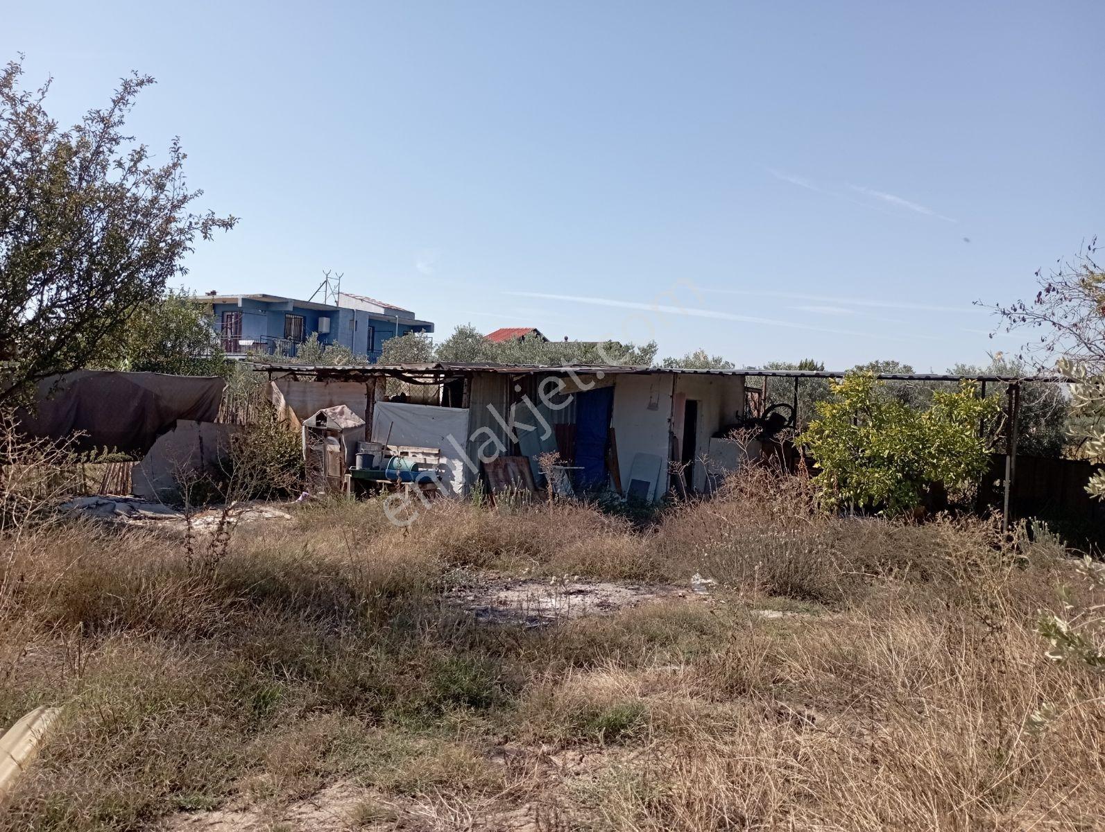 Ayrancılar İnönü Mh.imara Sınırı Olan Satılık Tek Tapu Tarla — fotoğraf 19