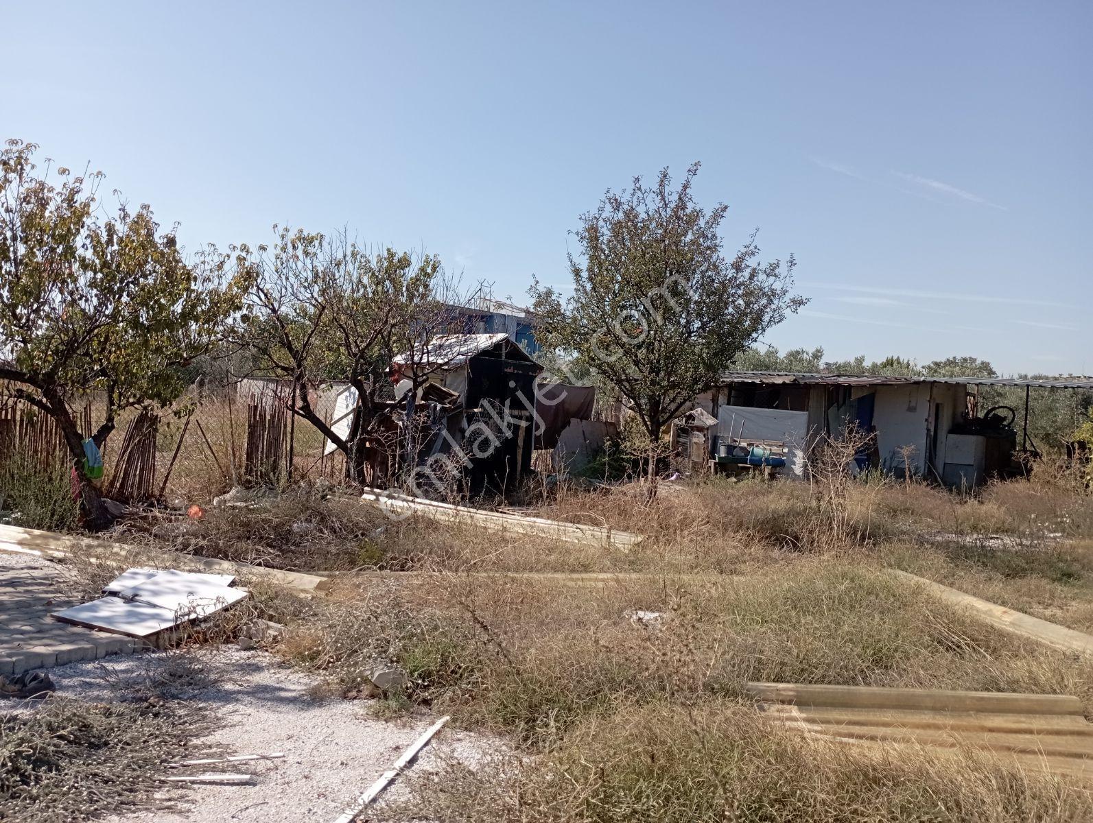 Ayrancılar İnönü Mh.imara Sınırı Olan Satılık Tek Tapu Tarla — fotoğraf 20
