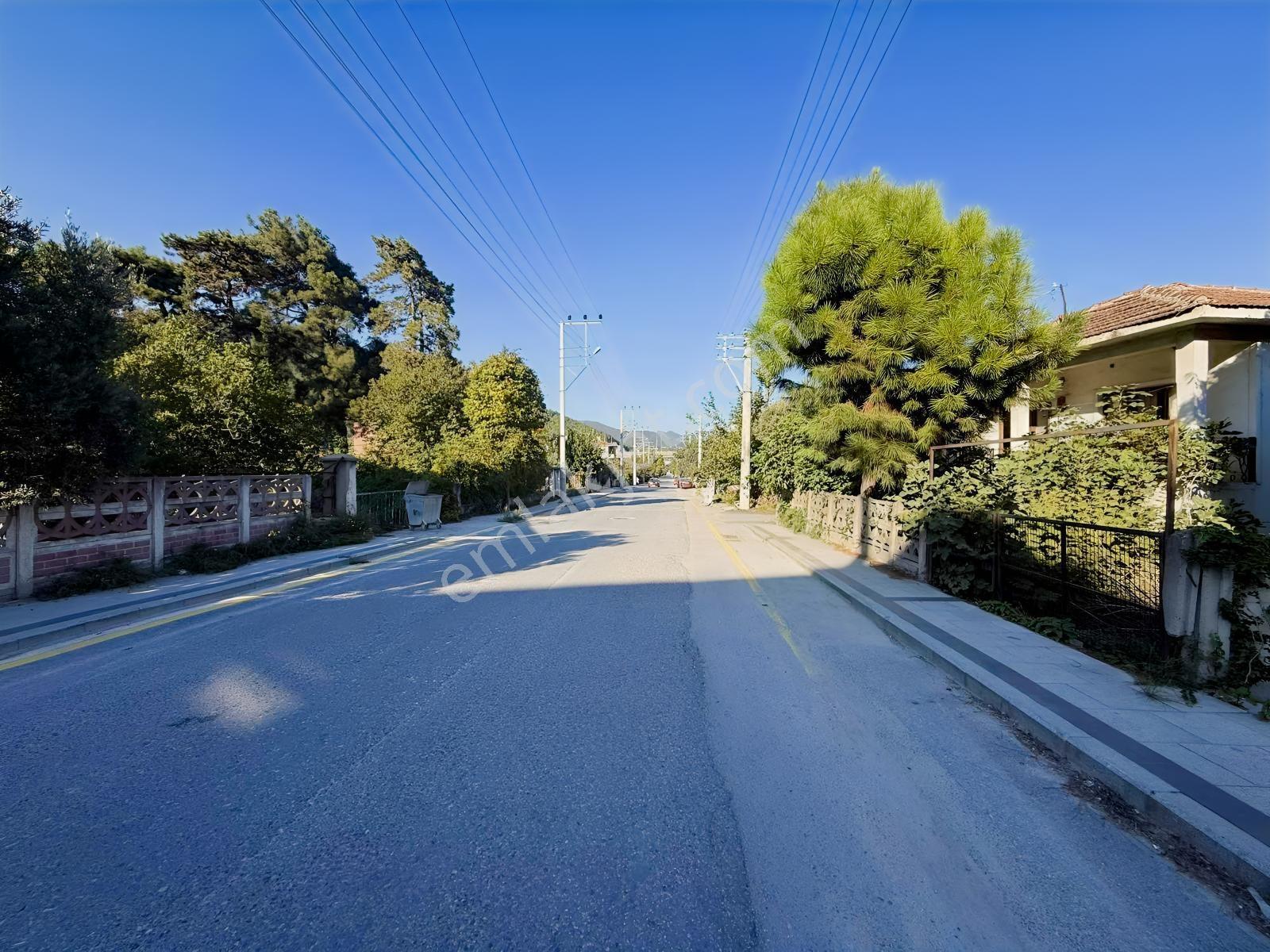 Sakarya Geyve Alifuatpaşa'Da Cadde Üzeri 524M² İmarlı Arsa
