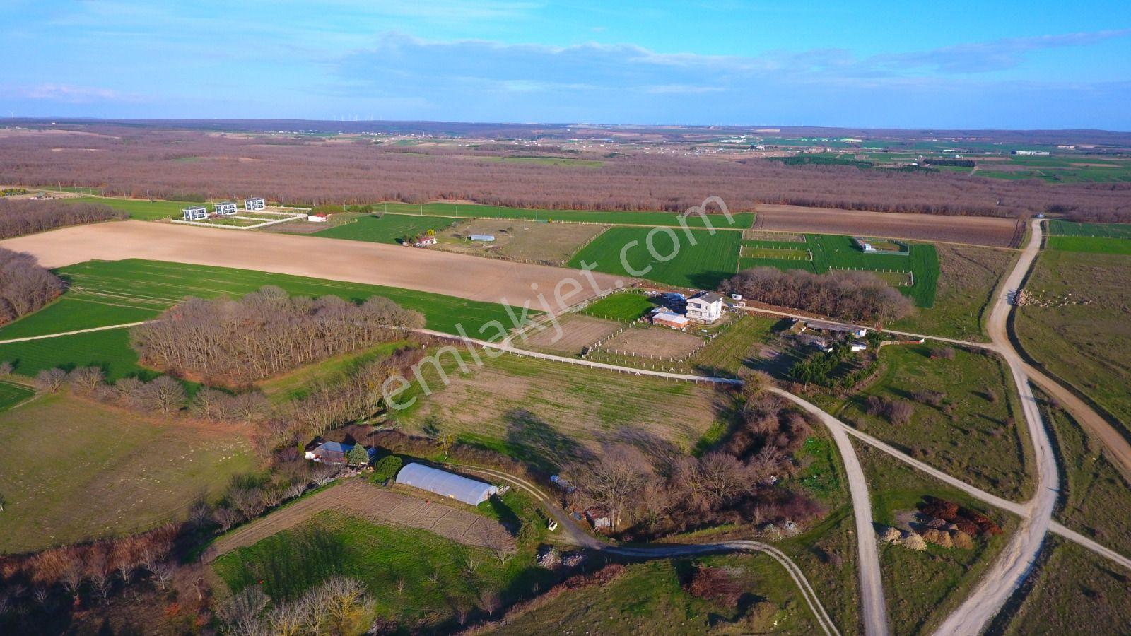 Ege Gayrimenkul'den Büyükçavuslu'da 6880 M2 Tarla — fotoğraf 4