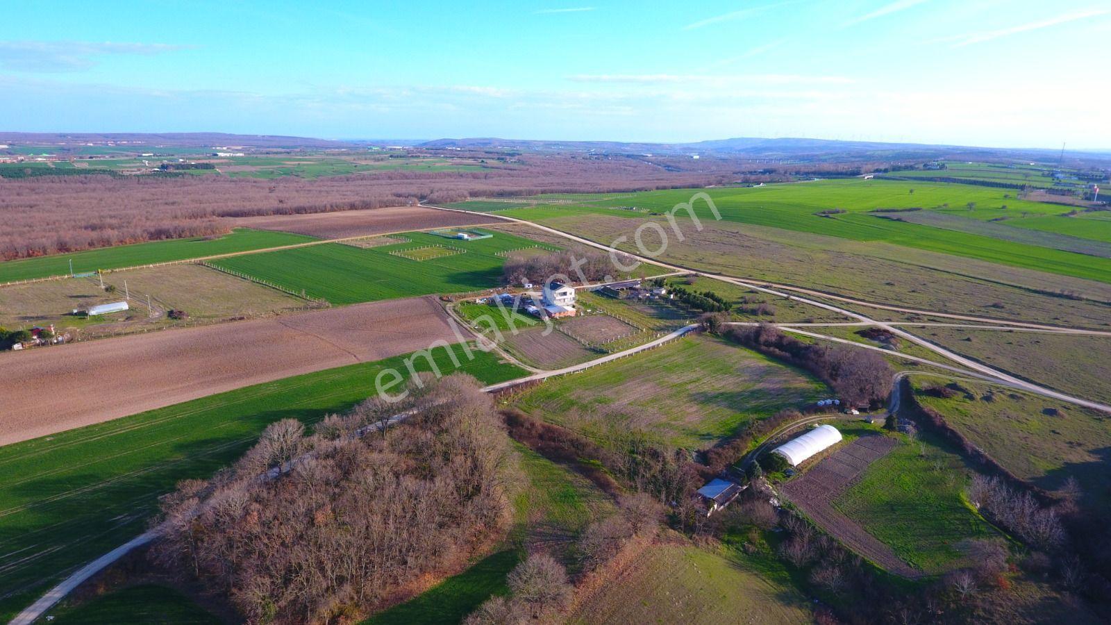 Ege Gayrimenkul'den Büyükçavuslu'da 6880 M2 Tarla — fotoğraf 7