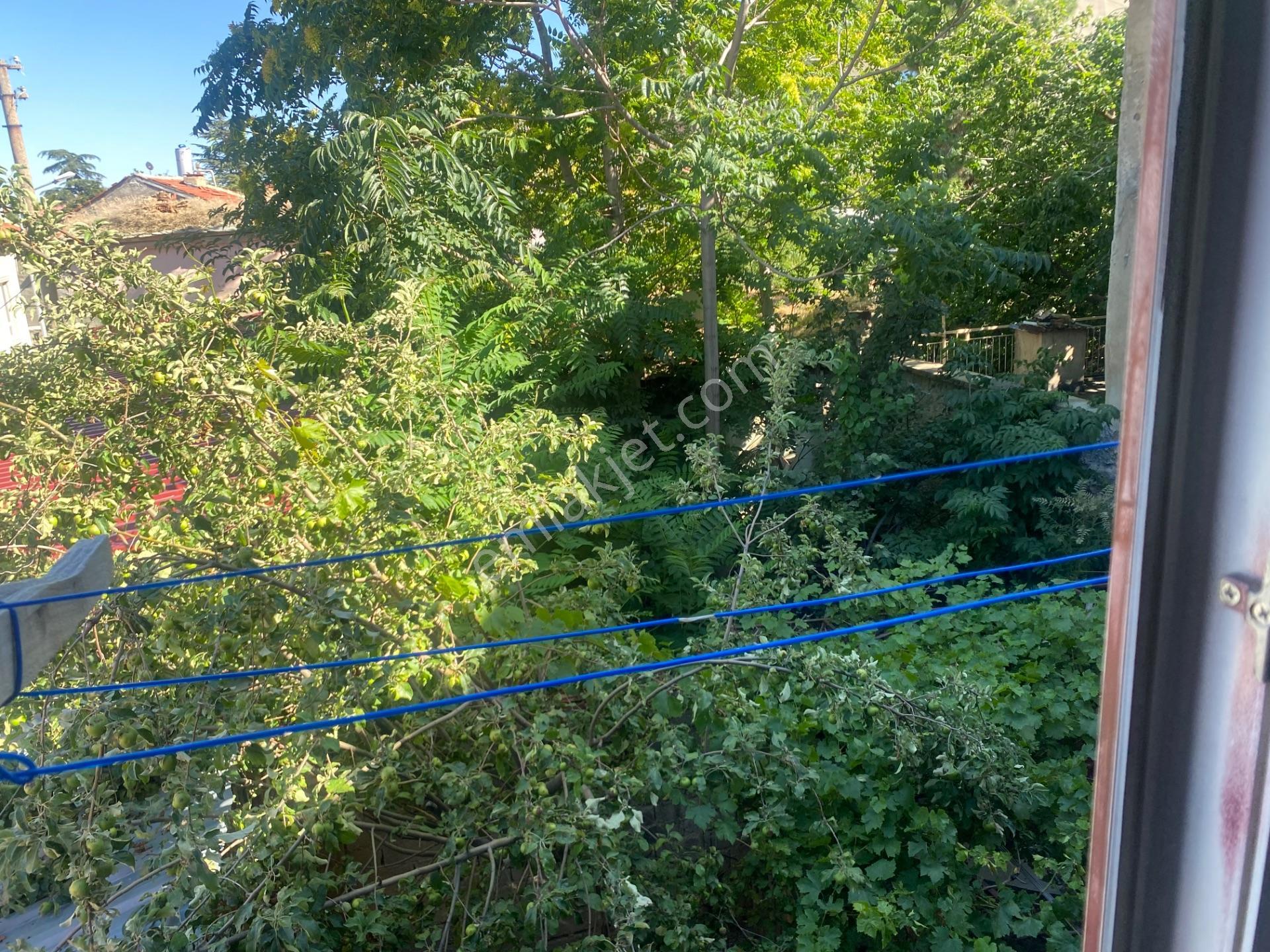 Dinamikten Dereçinede Satlık Bahçe — fotoğraf 2