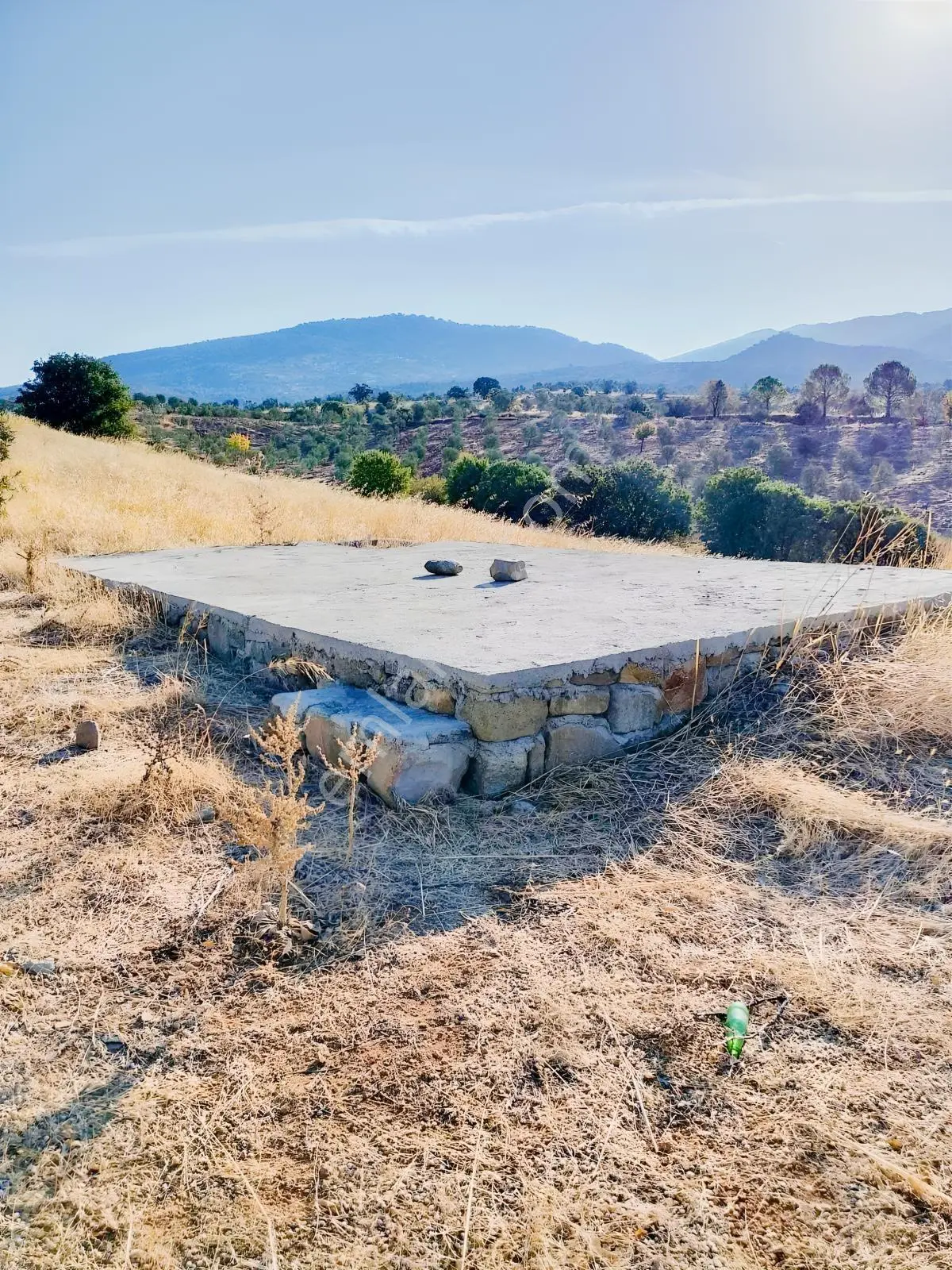 Güçlü Kardeşler Burhaniyede 8800m2 Zeytinlik — fotoğraf 8
