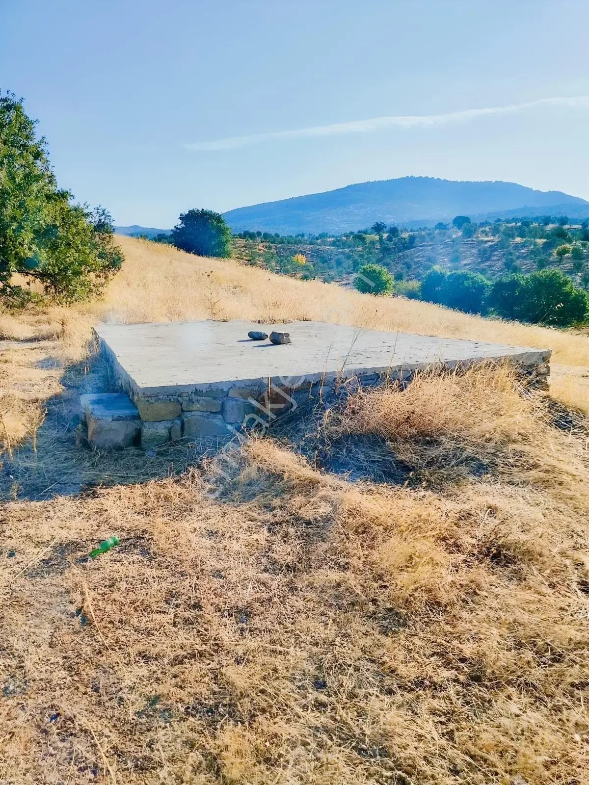 Güçlü Kardeşler Burhaniyede 8800m2 Zeytinlik — fotoğraf 9