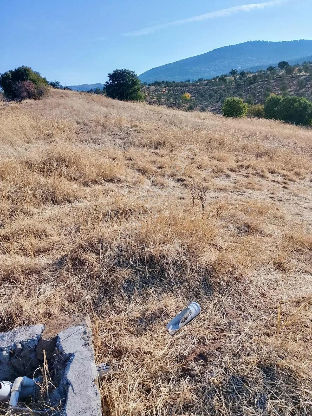 Güçlü Kardeşler Burhaniyede 8800m2 Zeytinlik — fotoğraf 10