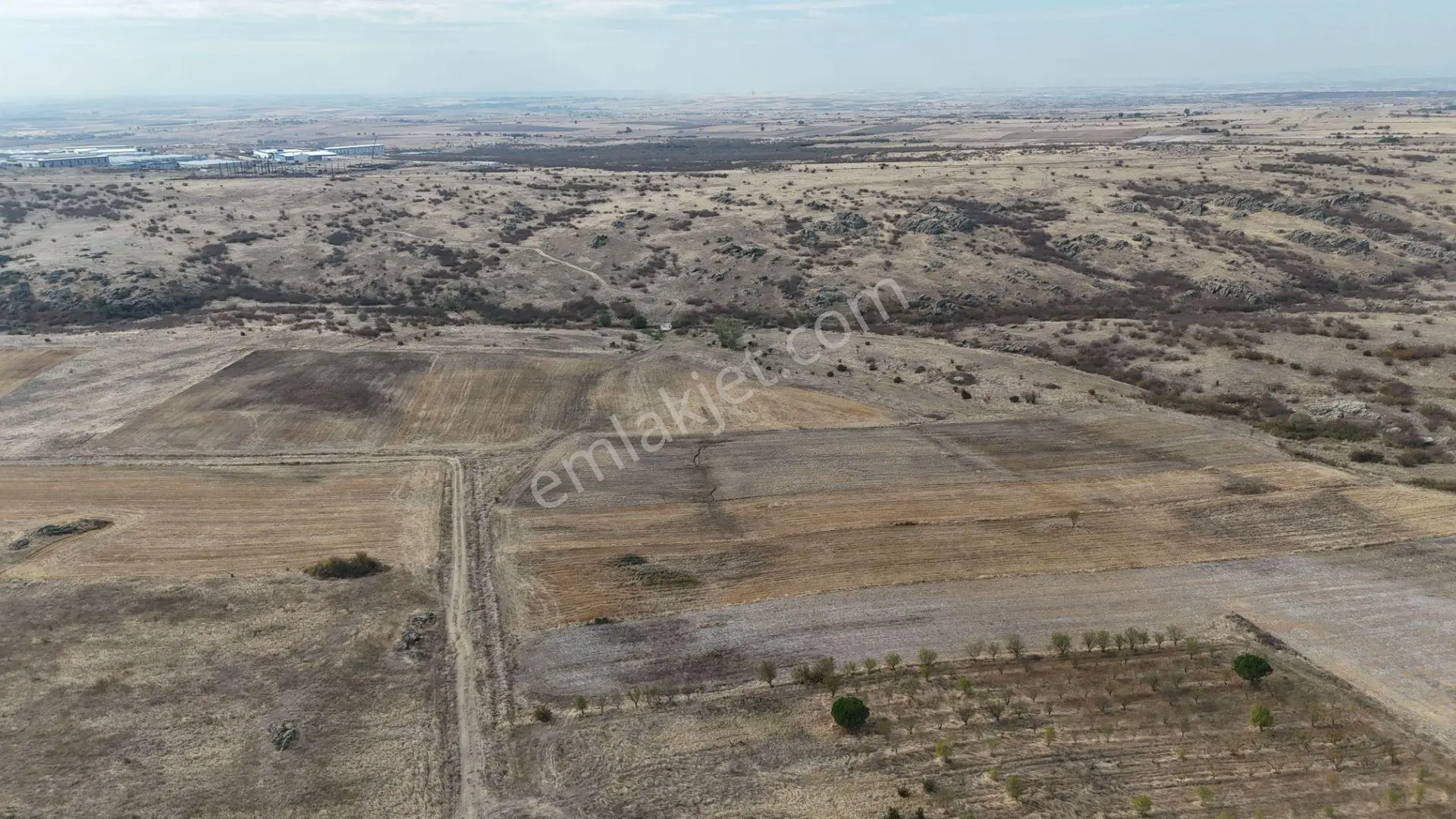 Edirne Lalapaşa Sarıdanişment Satılık 57 Dönüm Tarla