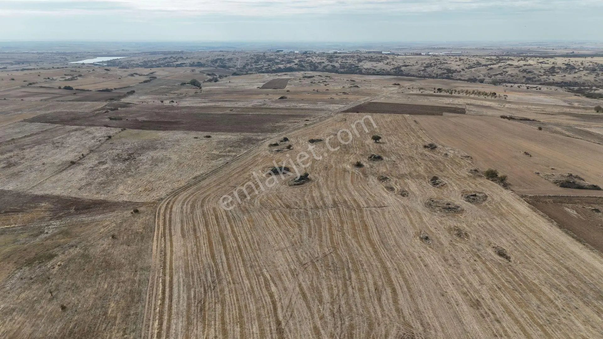 Edirne Lalapaşa Sarıdanişment Satılık 57 Dönüm Tarla — fotoğraf 9