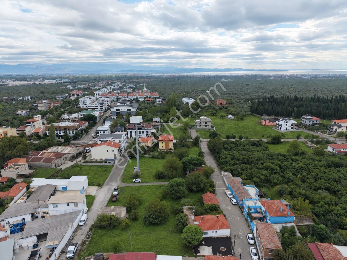 Mera Emlaktan Zeytinli Mevki 2 Villa Veya 4 Adet 1+1 368m2 Arsa — fotoğraf 4
