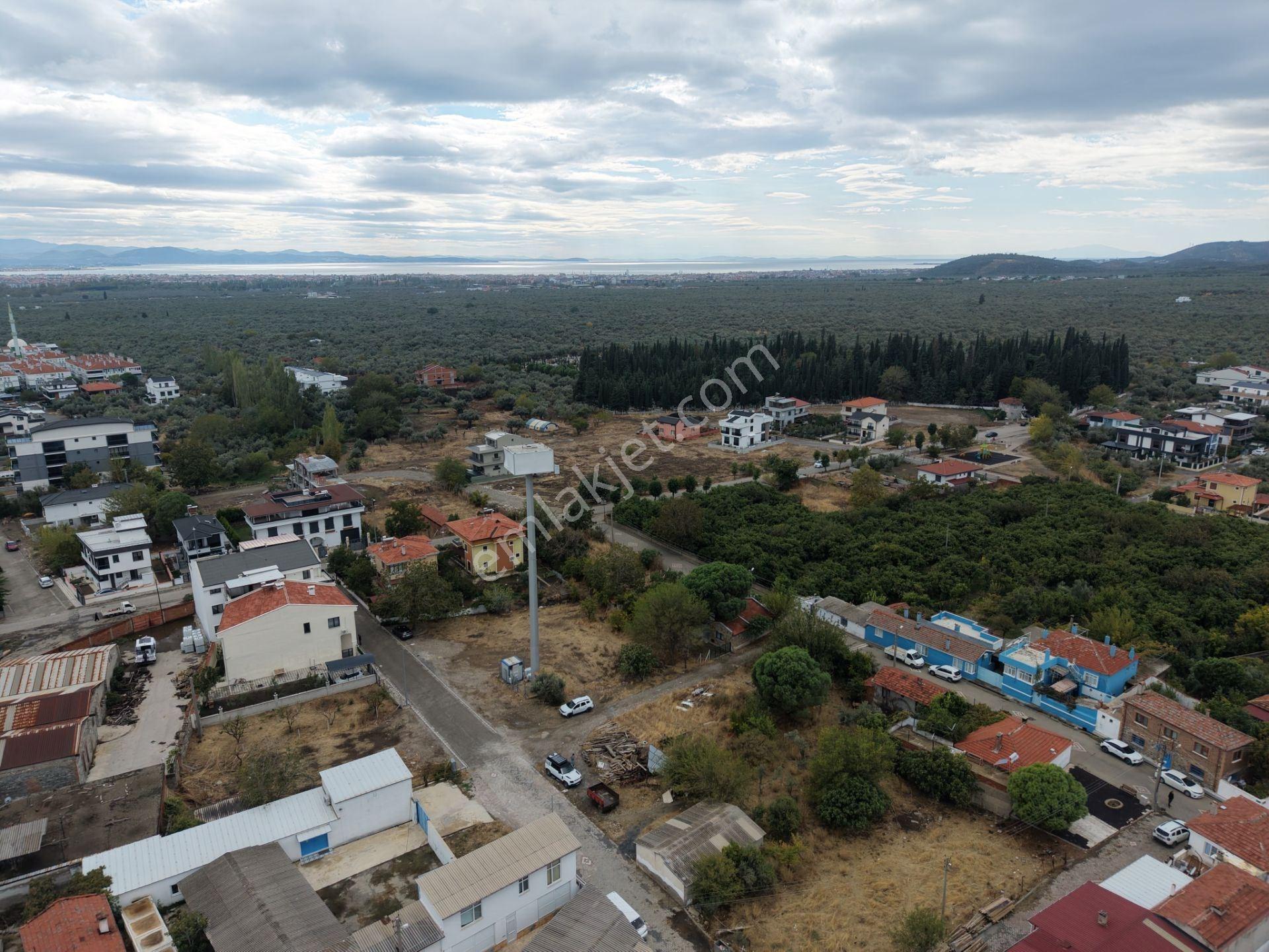 Mera Emlaktan Zeytinli Mevki 2 Villa Veya 4 Adet 1+1 368m2 Arsa — fotoğraf 5