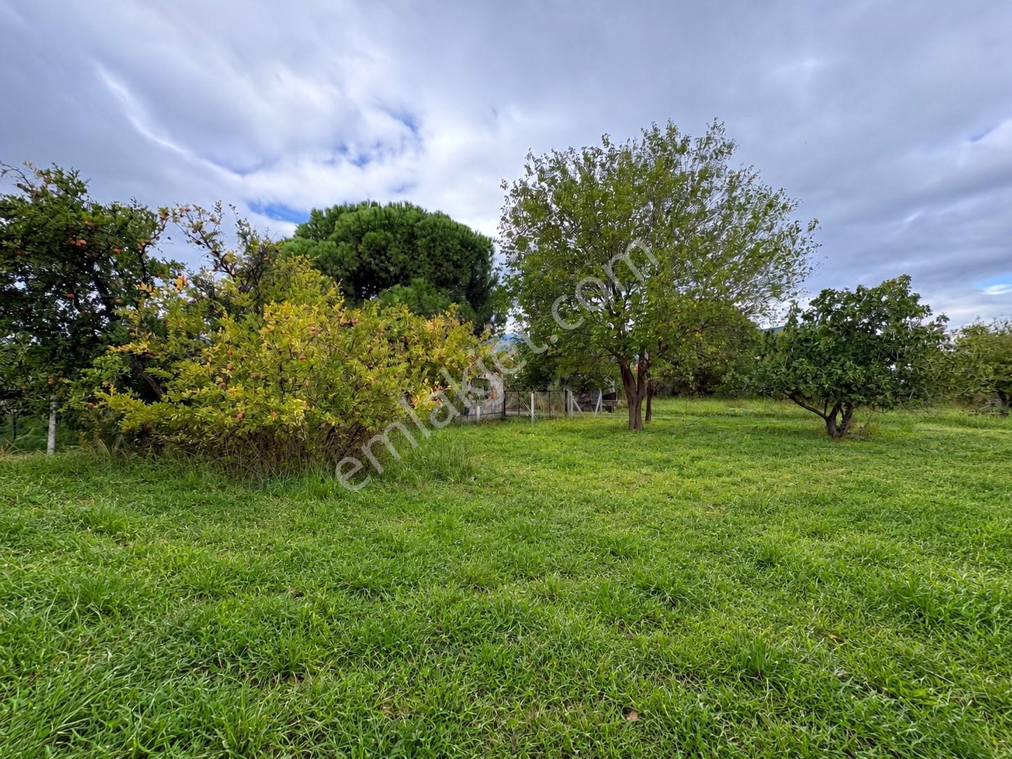 Mera Emlaktan Zeytinli Mevki 2 Villa Veya 4 Adet 1+1 368m2 Arsa — fotoğraf 6